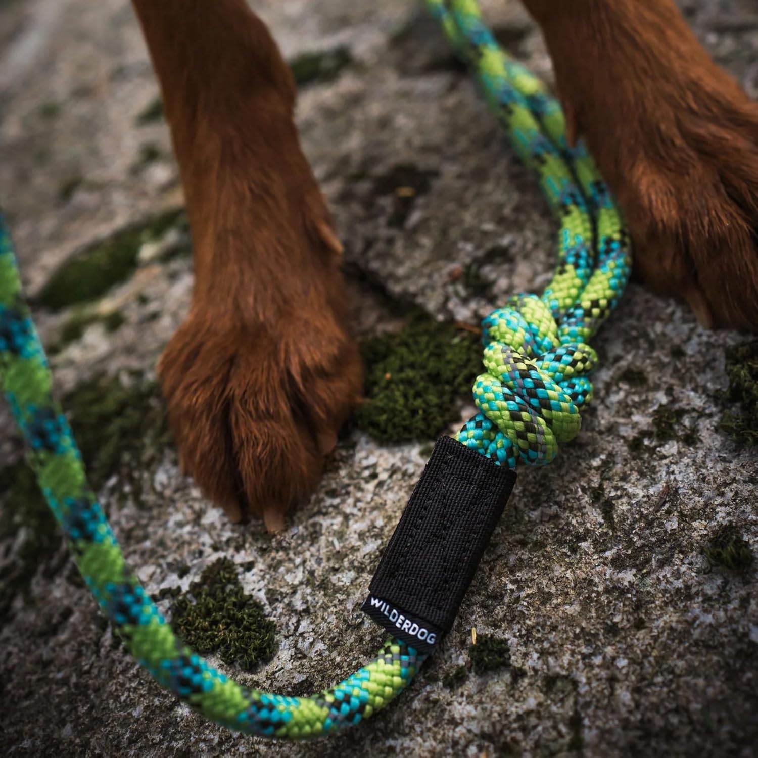 Wilderdog Carabiner Climbing Rope Dog Leash for Medium & Large Dogs - 10ft - Lime