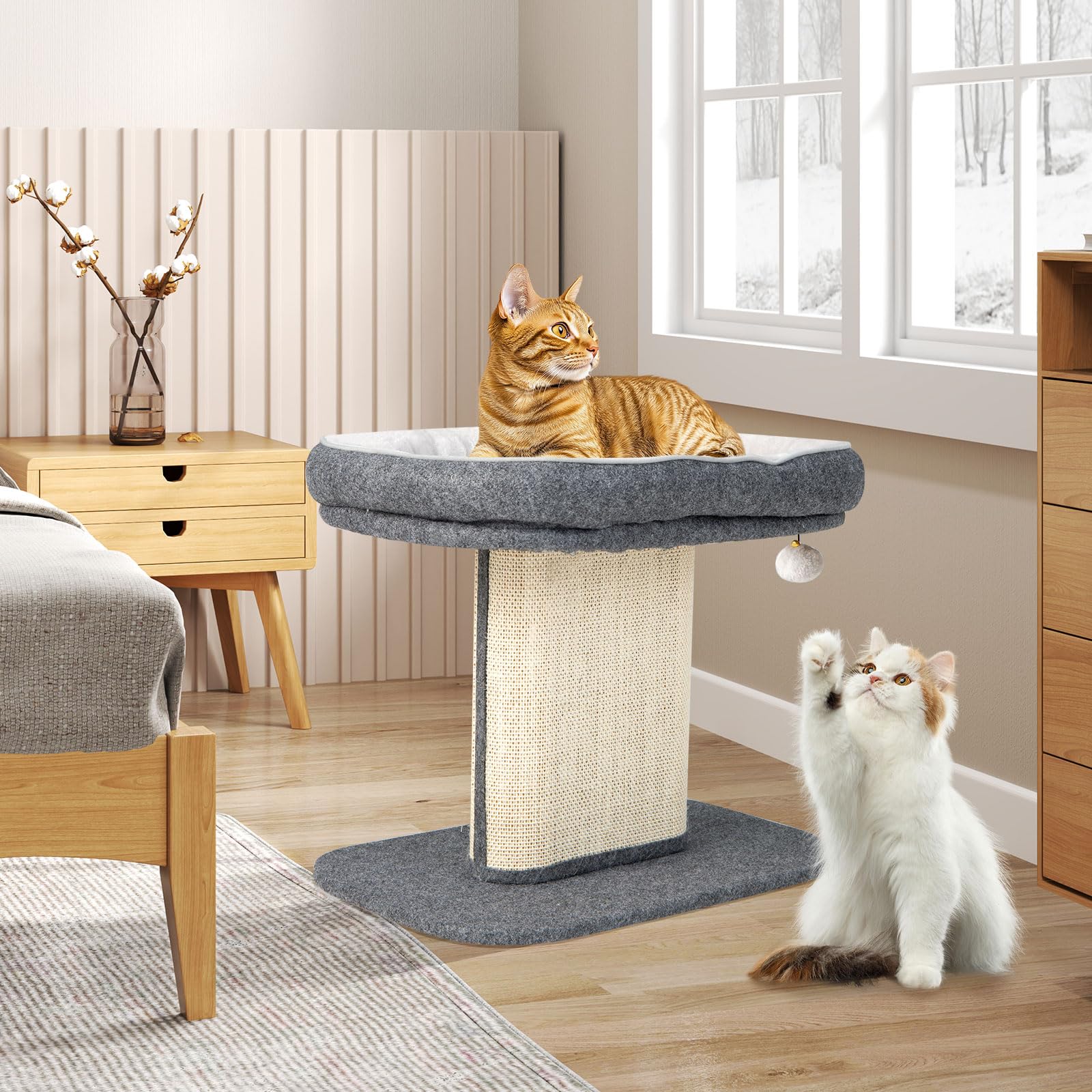 GYMAX Kratzbaum 50 cm hoch, Kletterbaum mit weicher Plüschsitzfläche, Katzenbaum mit Sisal-Kratzsäule & Ball, Katzenkratzbaum aus Holz, Aktivitätsbaum, kleine Katzenmöbel, Spielbaum (Grau)