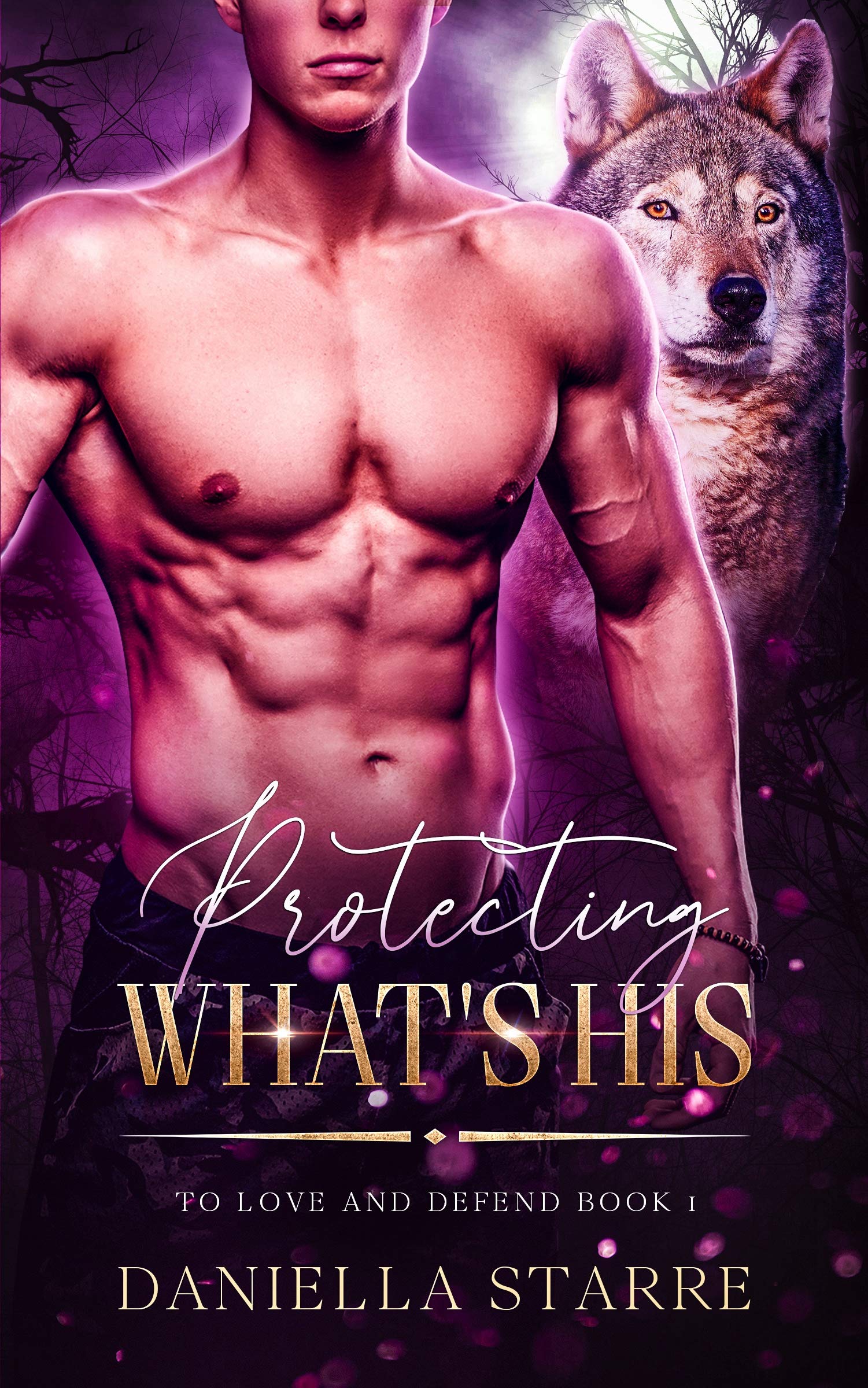 Protecting What's His (To Love and Defend Book 1)