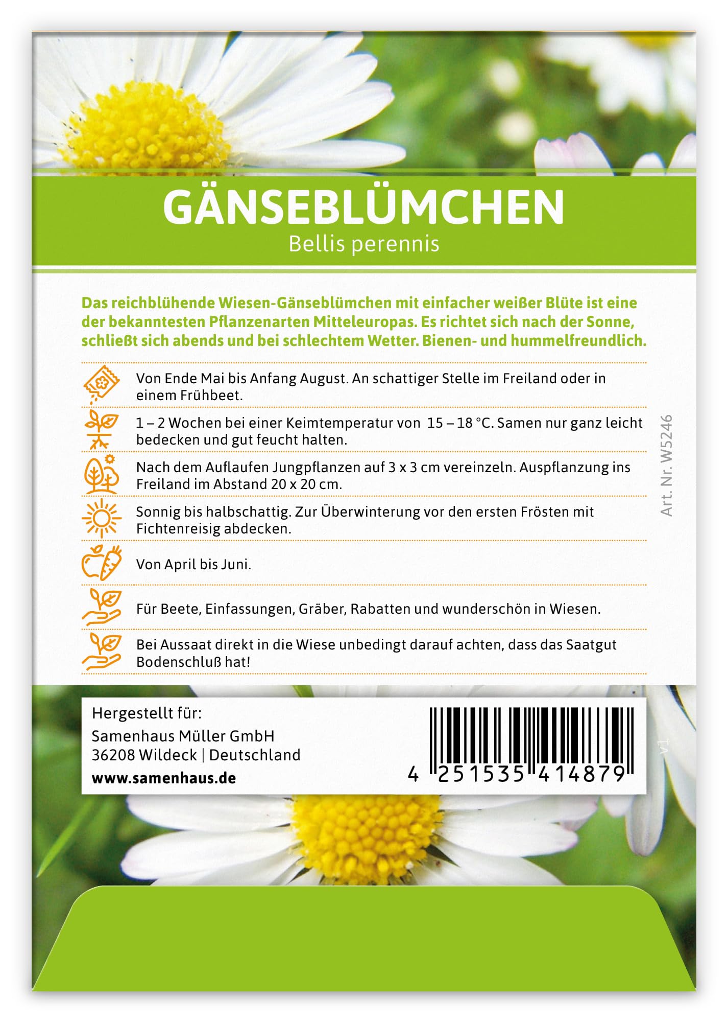 FLORTUS W5246-100x Gänseblümchen für Werbezwecke (100 Tütchen) (Gänseblümchensamen)