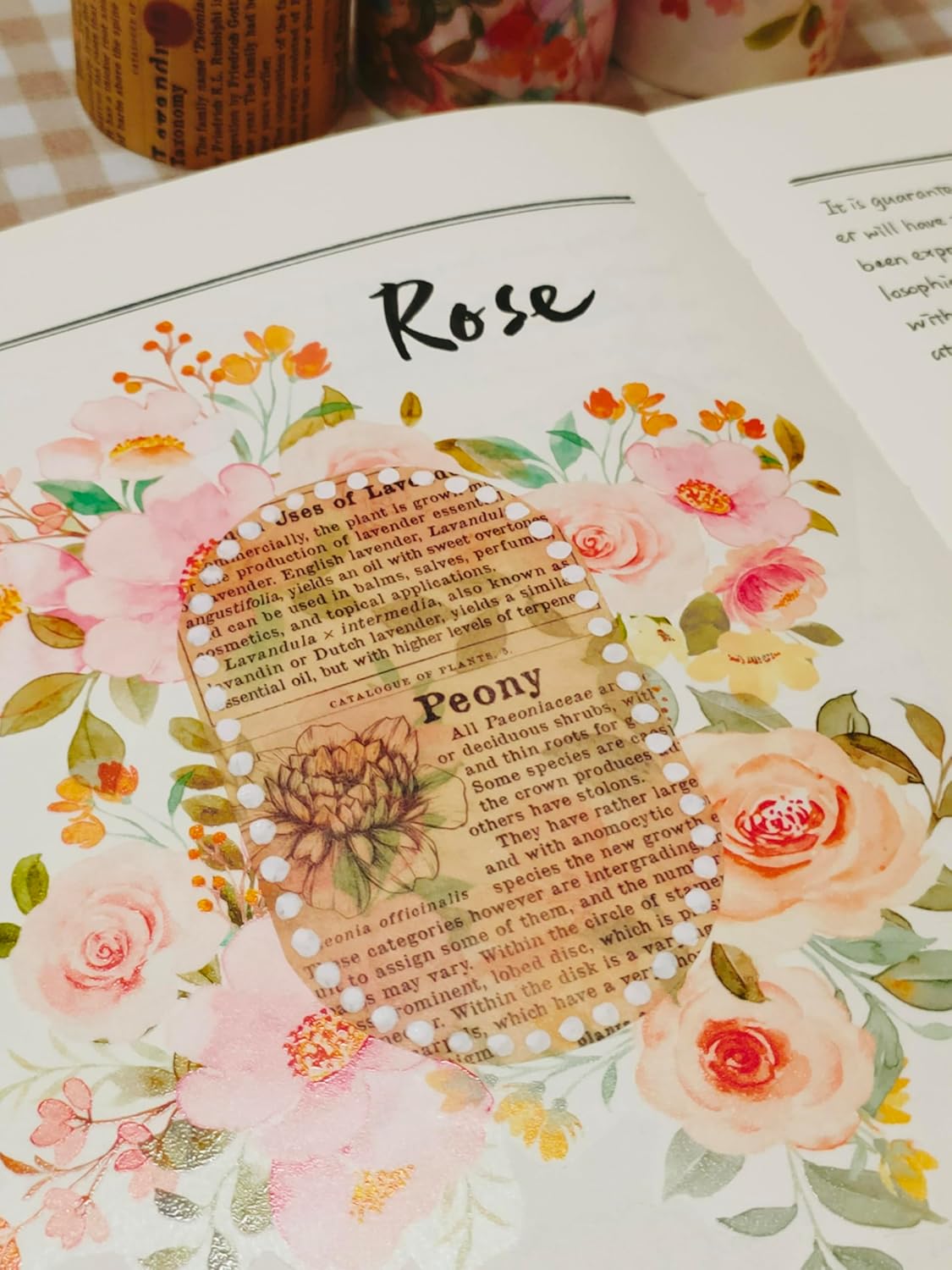 WT Floral PET Tape for Scrapbook Junk Bullet Journaling Supplies, Colored Masking Decorative Tape for Bible Study and Craft Supplies, Width 6cm, Length 5 M(Flower Corridor Wide PET Tape, One Roll)