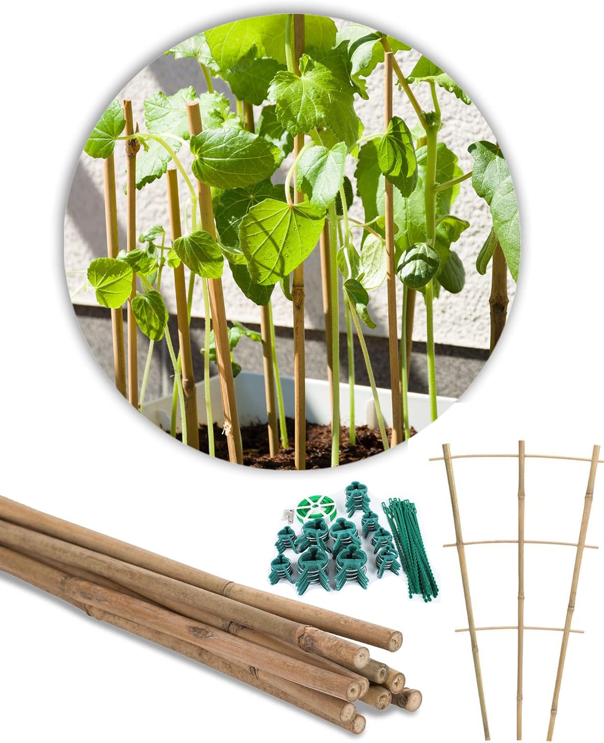 Novatool 5X Bambus Rankgitter 37x5cm und 61x Pflanzklammer I Rankhilfe