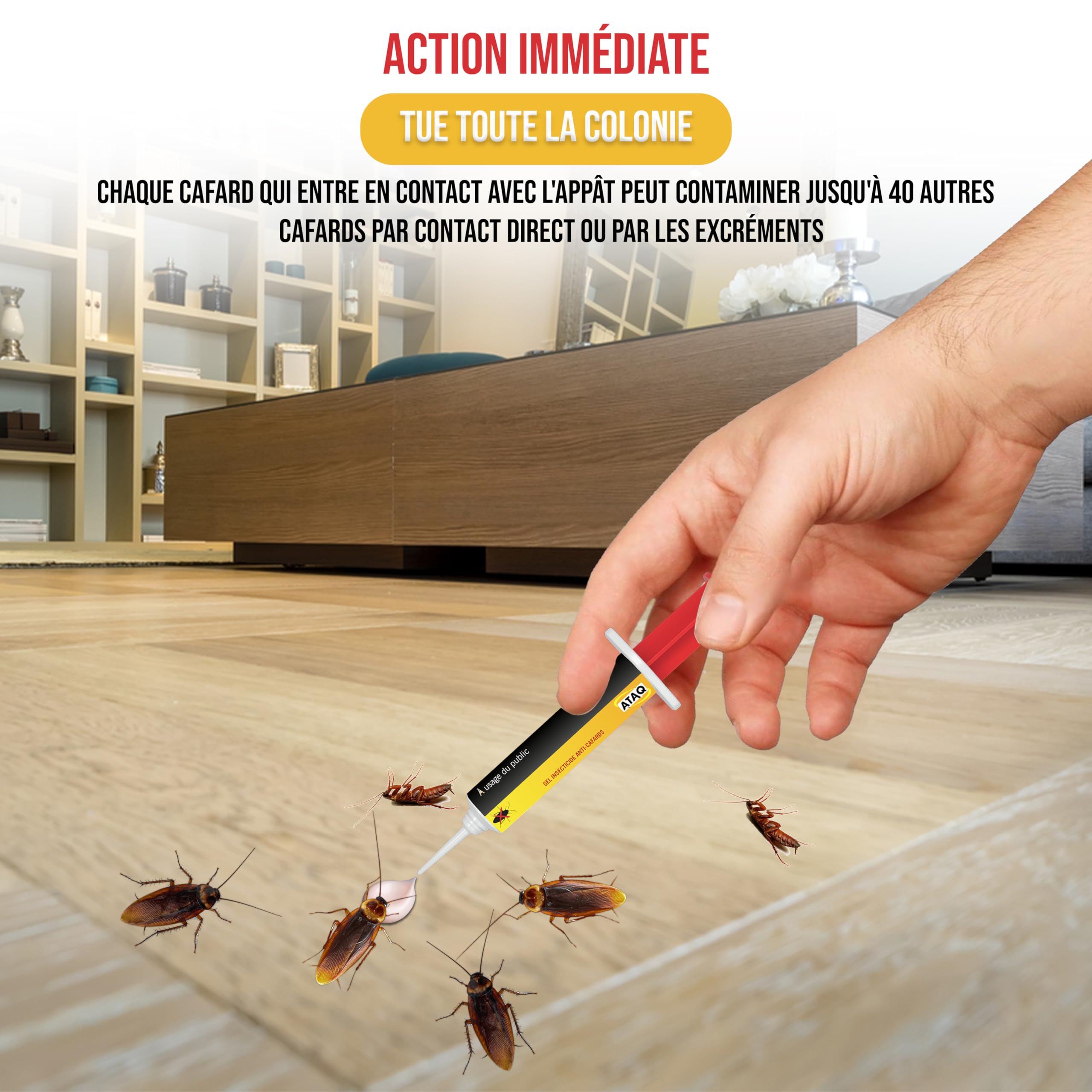 Pack de 2 Gel Appât Anti Cafards 10g Professionnelle Insecticide Élimine Rapidement