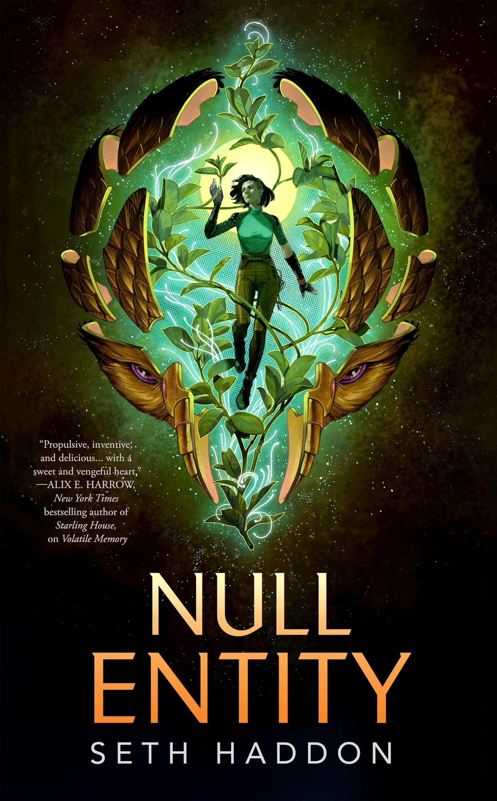 Null Entity (The Volatile Memory Duology, 2)