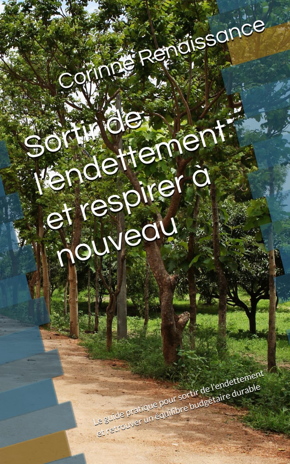 Sortir de l’endettement et respirer à nouveau: Le guide pratique pour sortir de l'endettement et retrouver un équilibre budgétaire durable