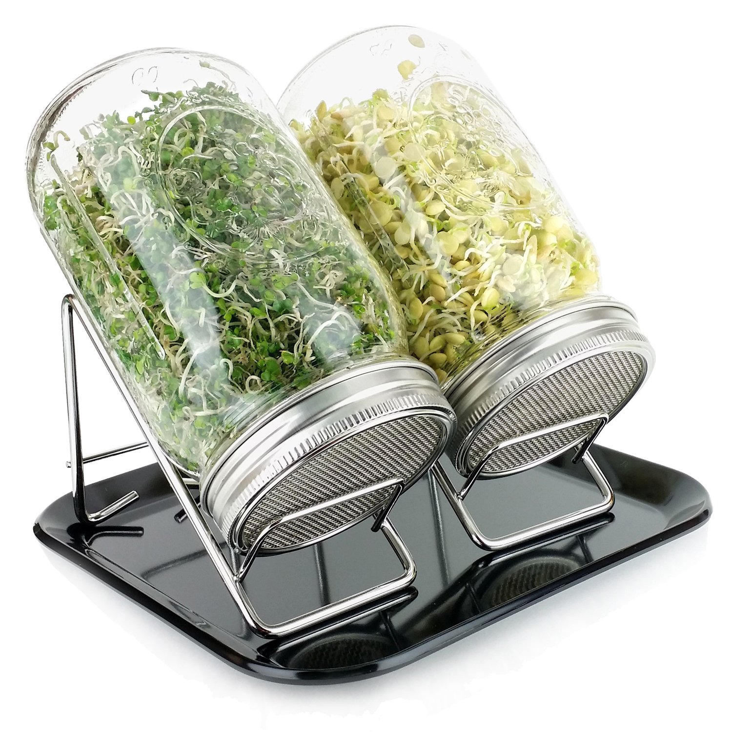 Pure Convenience Deluxe Sprouting System - Pure Glass and Stainless Steel Sprouting Stands, Jars & Tray - Organic Broccoli & Lentil Seeds - Dishwasher Safe - Super Easy - Lotus & Sky PCDLXBLK (Black)