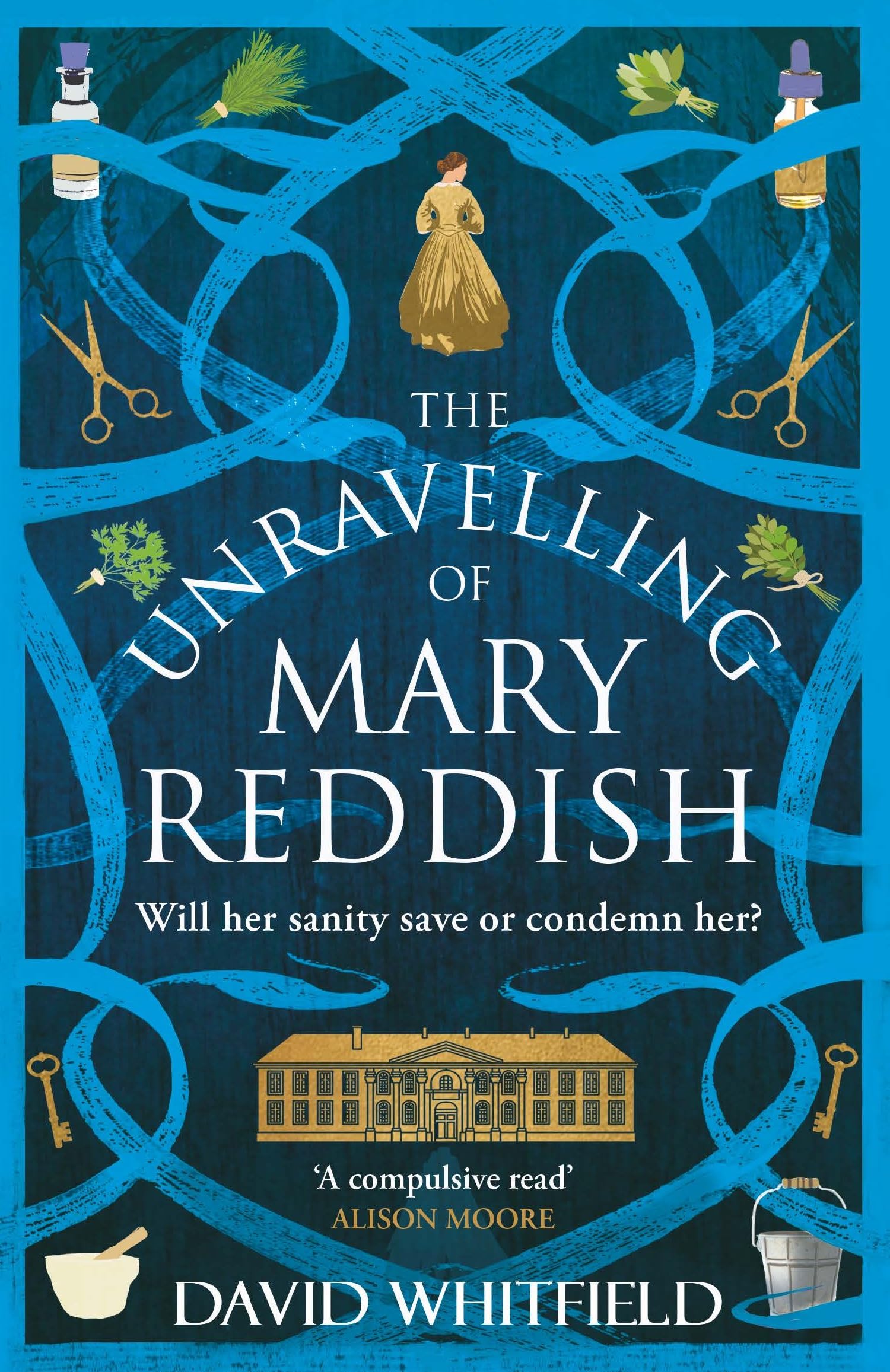 The Unravelling of Mary Reddish: a powerful historical novel about a woman unjustly committed to an asylum (English Edition)