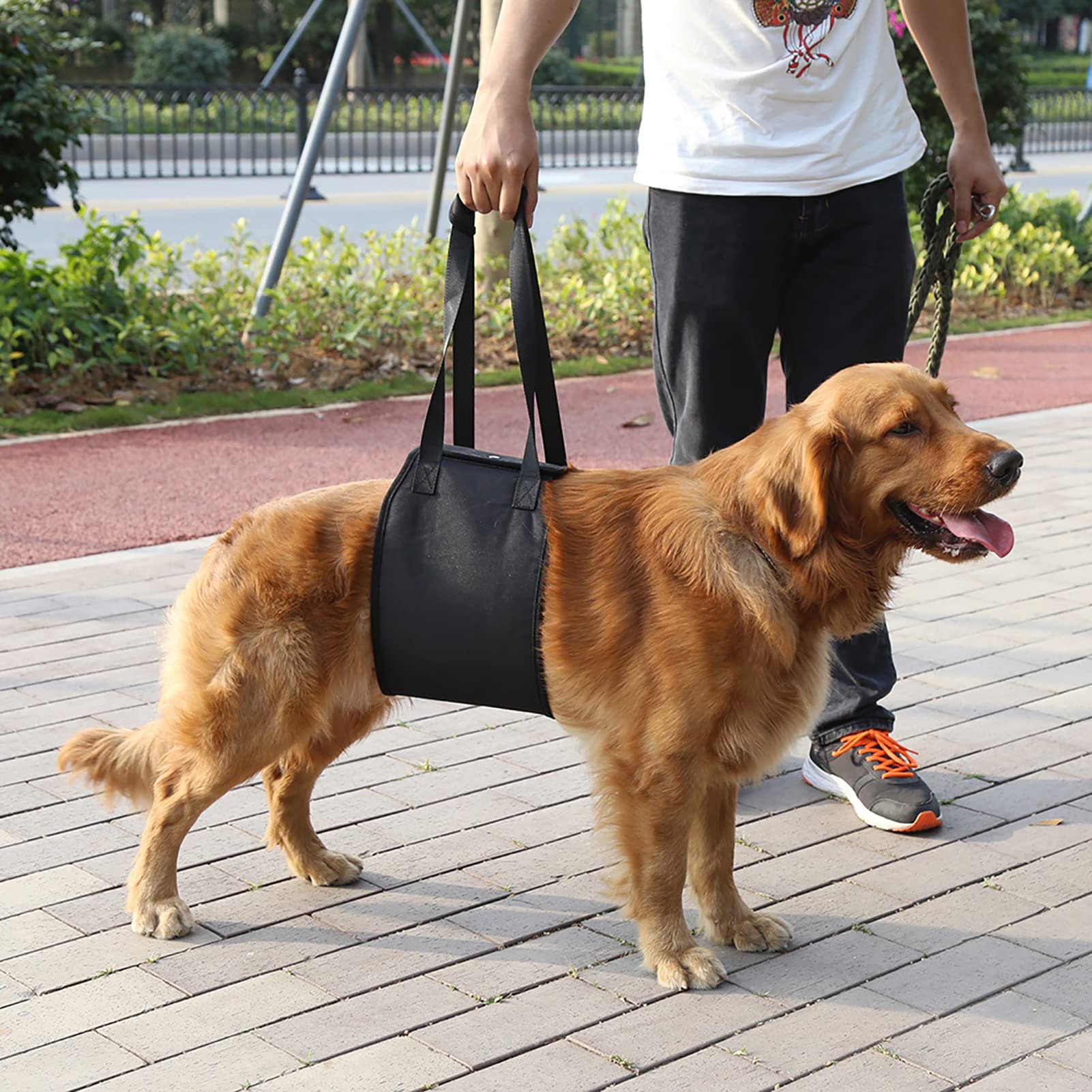 Yosoo Ceinture auxiliaire pour chiens, ceinture AUX pour harnais pour animaux domestiques ascenseur traverse classique pour animaux âgés ou chiens malades utilisation et descendre des véhicules
