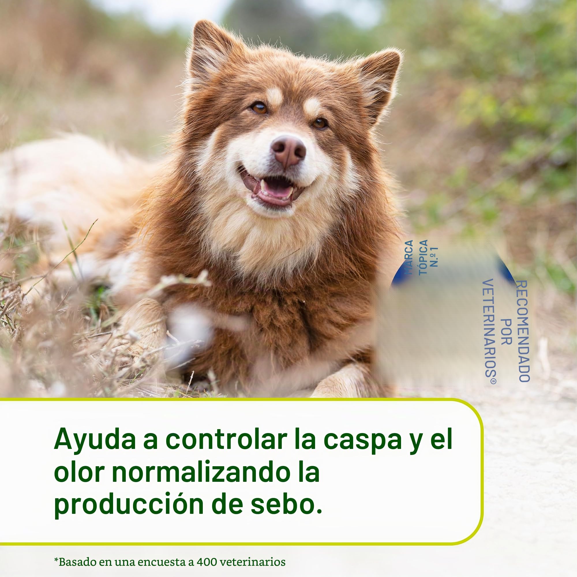Douxo S3 SEB Mousse, Contiene 0.5% de ofitrio, Control de olores y seborregulador, para Piel Grasa a escamosa, seborrea, para Perros y Gatos, 5 onzas líquidas