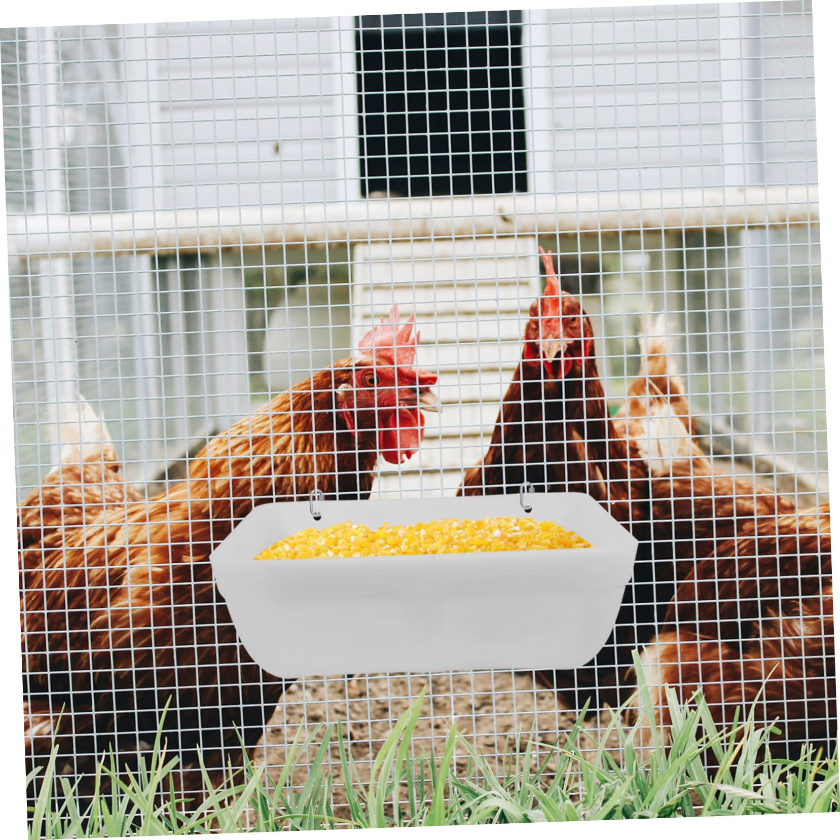 BESPORTBLE 2 Juegos Comedero Automático para Pollos de Contenedor de Alimentación Colgante para Aves de Corral de Limpiar y Práctico Material Ligero y Sanitario
