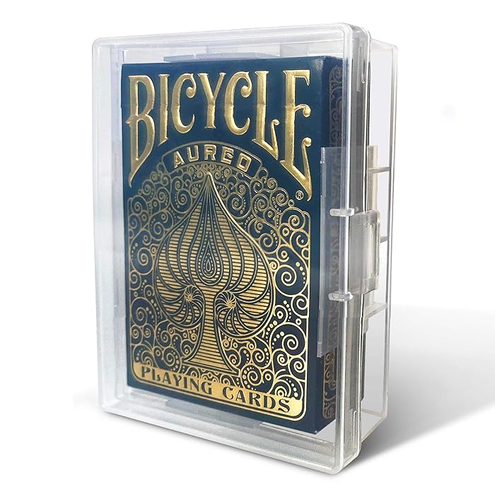 Buy BitsBins 10 Pack Playing Card Deck Boxes, Fits Standard Sized Poker