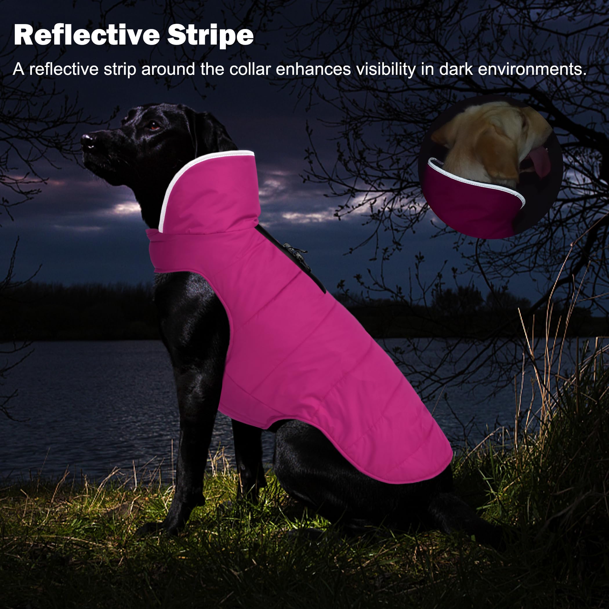 Petglad Abrigo de invierno para perro, chaqueta impermeable para perro con agujero para correa con cremallera, chaqueta de nieve reflectante ajustable para perro, chaleco de forro polar acogedor para