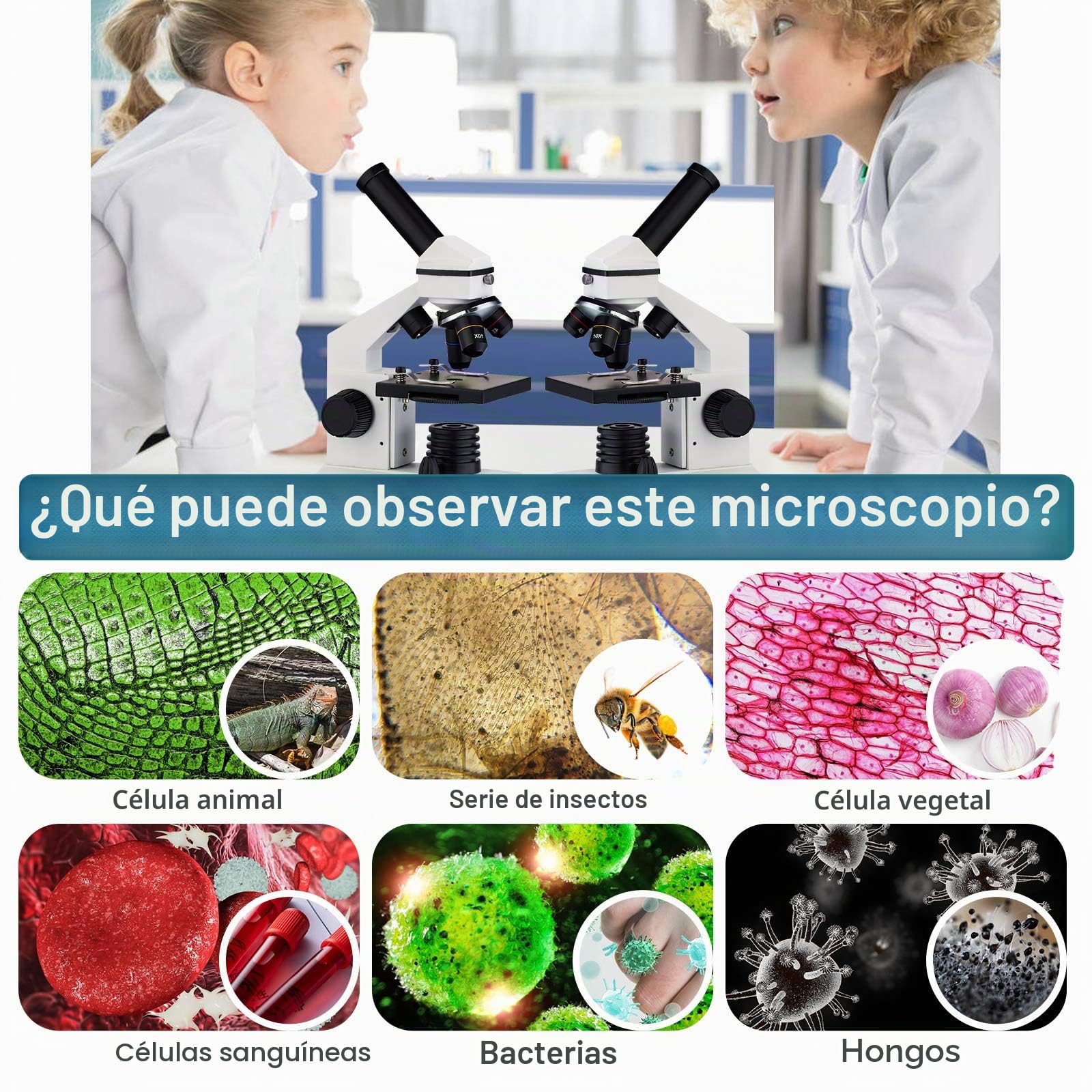 Microscopio de actualización 40X-2000X para niños, Estudiantes y Adultos, Potente microscopio biológico para niños, para Laboratorios Escolares, hogar, investigación científica biológica