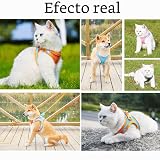 Ver la foto 7