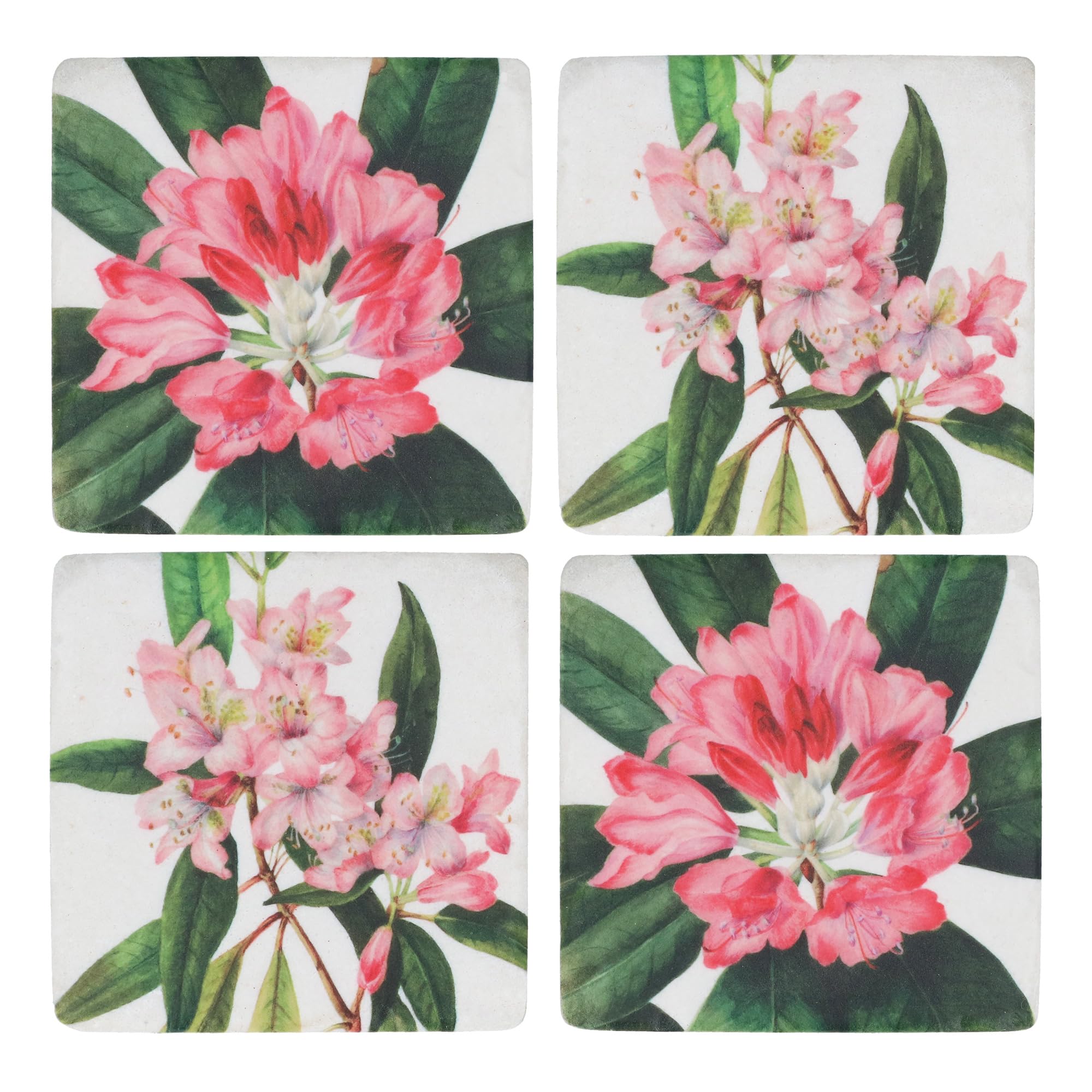 Gisela Graham Pink Square Coasters With Rhododendron Design, Set Of 4, Resin, 10Cm