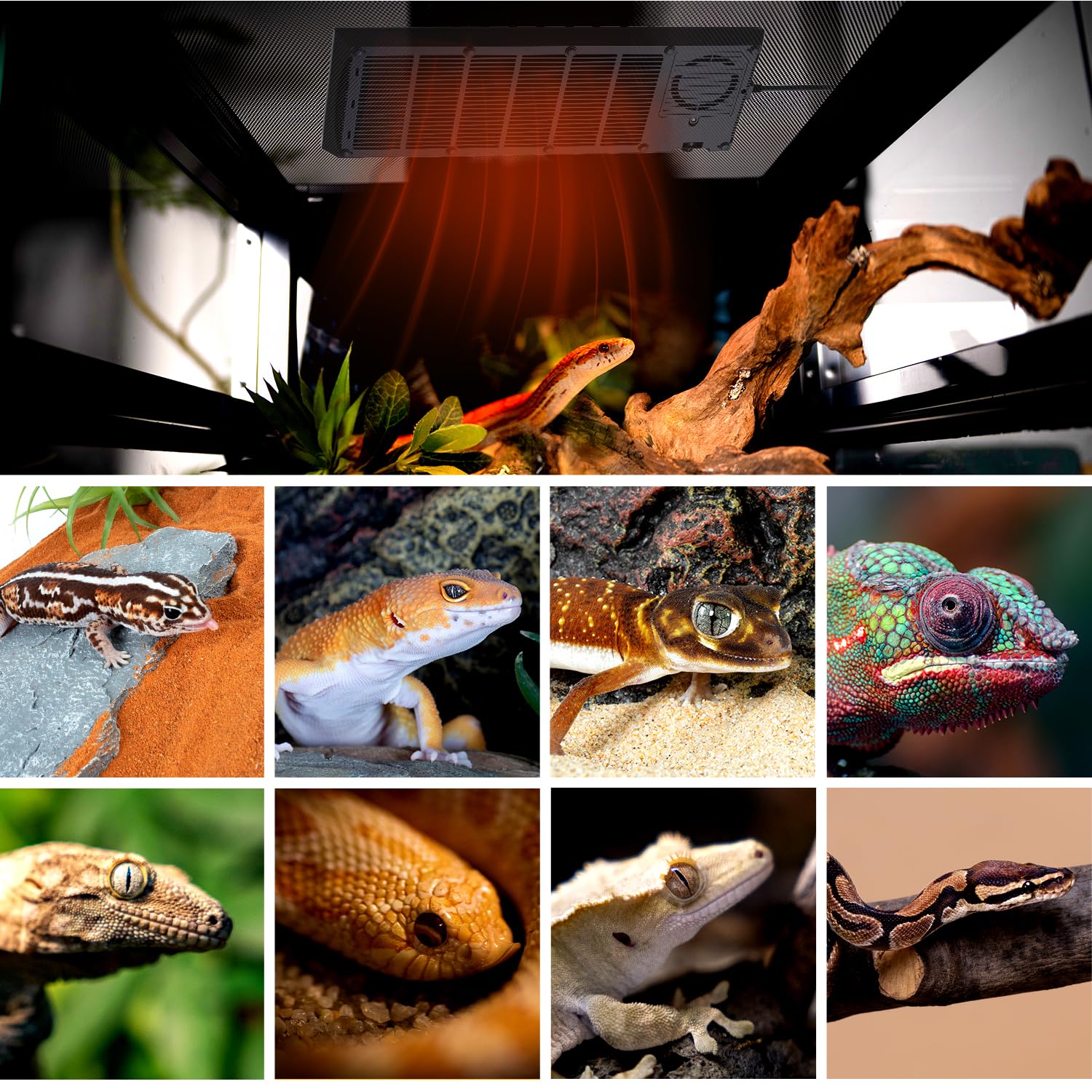 REPTI ZOO Reptile Heat Panel Adjustable Temperature Reptile Heating Plate, Mountable Under Lid, for Hermit Crabs/Leopard Geckos/Turtles/Snakes/Lizards - image 8