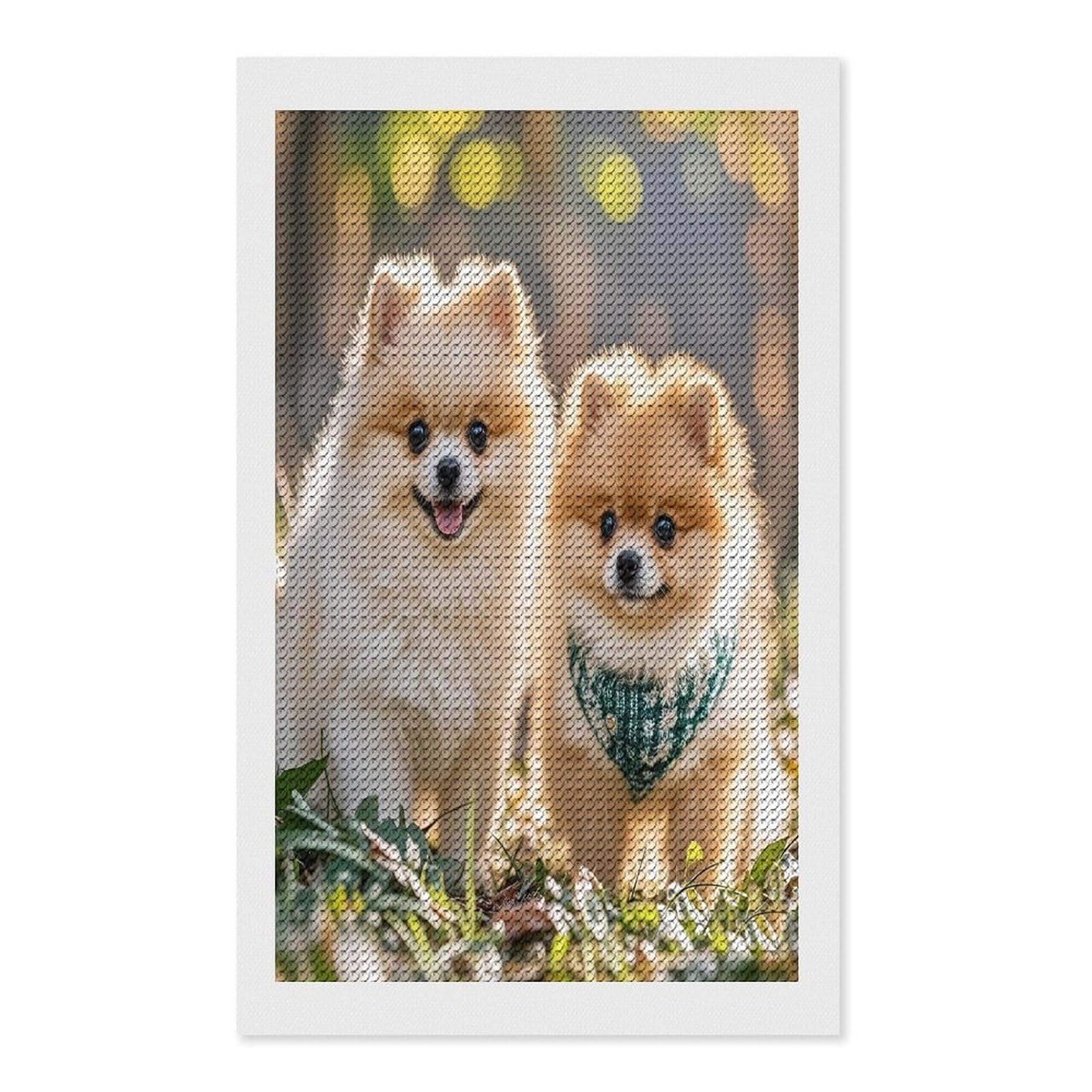 FekiLoot Pomeranians Puppies Diamond Painting Kits for Adults Full Round Drill Diamond Art Kits for Beginners 5D DIY Diamond Dots Paintings Diamonds Pictures Gem Art Home Wall Decor 12"x20"