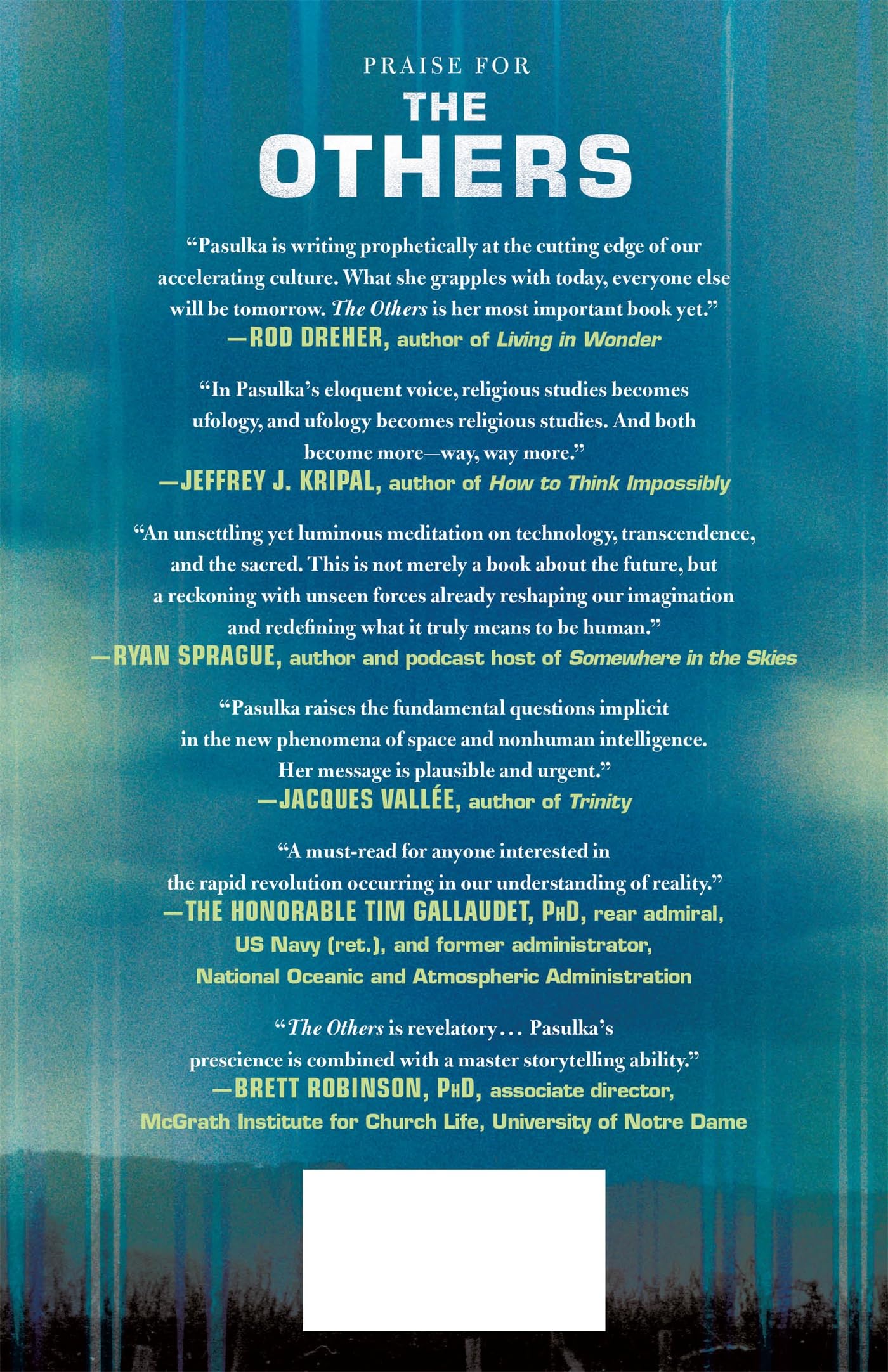 The Others: Ufos, Ai, and the Secret Forces Guiding Human Destiny the Secret Forces Guiding Human Destiny
