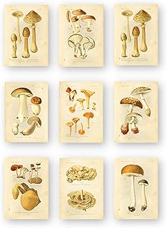 photo Glass Mushroom Wall Decor amazon com mushroom wall decor