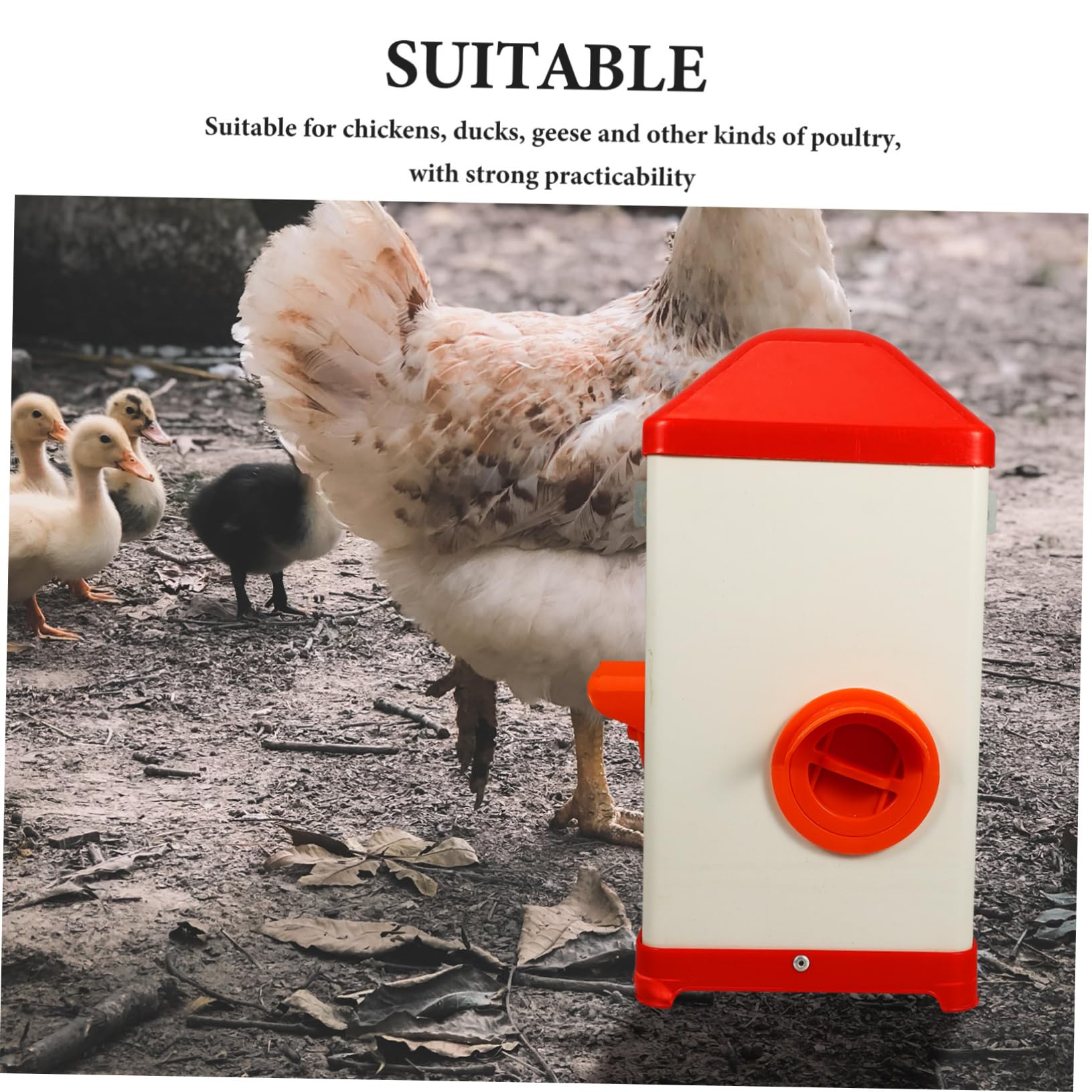 Contenedor Para Aves De Corral Comedero De Plástico Fácil De Llenar Resistente