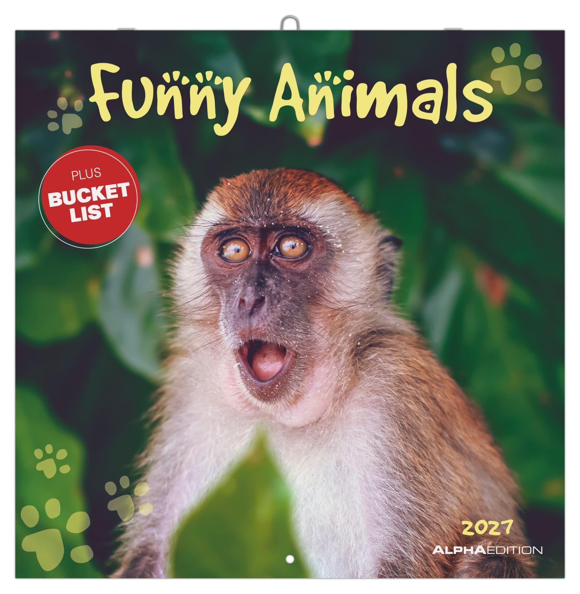 Funny Animals 2027: Wandkalender 30x30 cm (30x60 cm geöffnet) mit Notizkalendarium und 12 lustigen Tierfotos