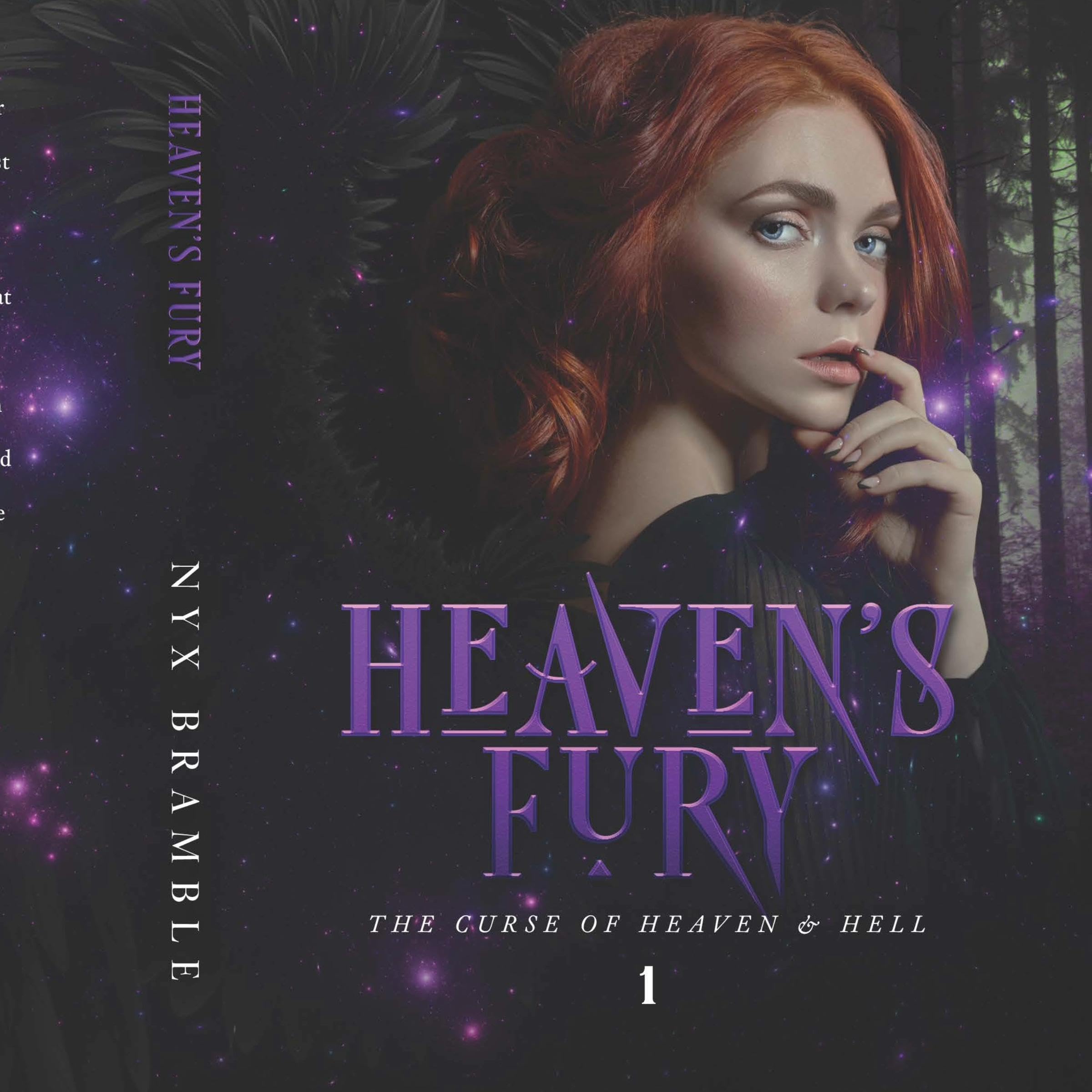 Cover art for Heaven's Fury