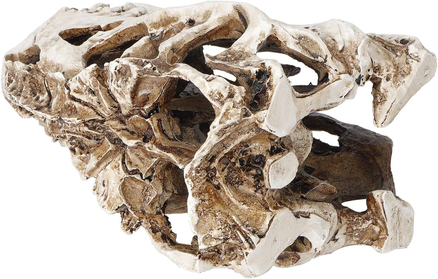 Yctze Unique Dinosaur Skull Decor, Animal Skeleton Statue, Halloween Props, Collection Craft Piece for Home Decor
