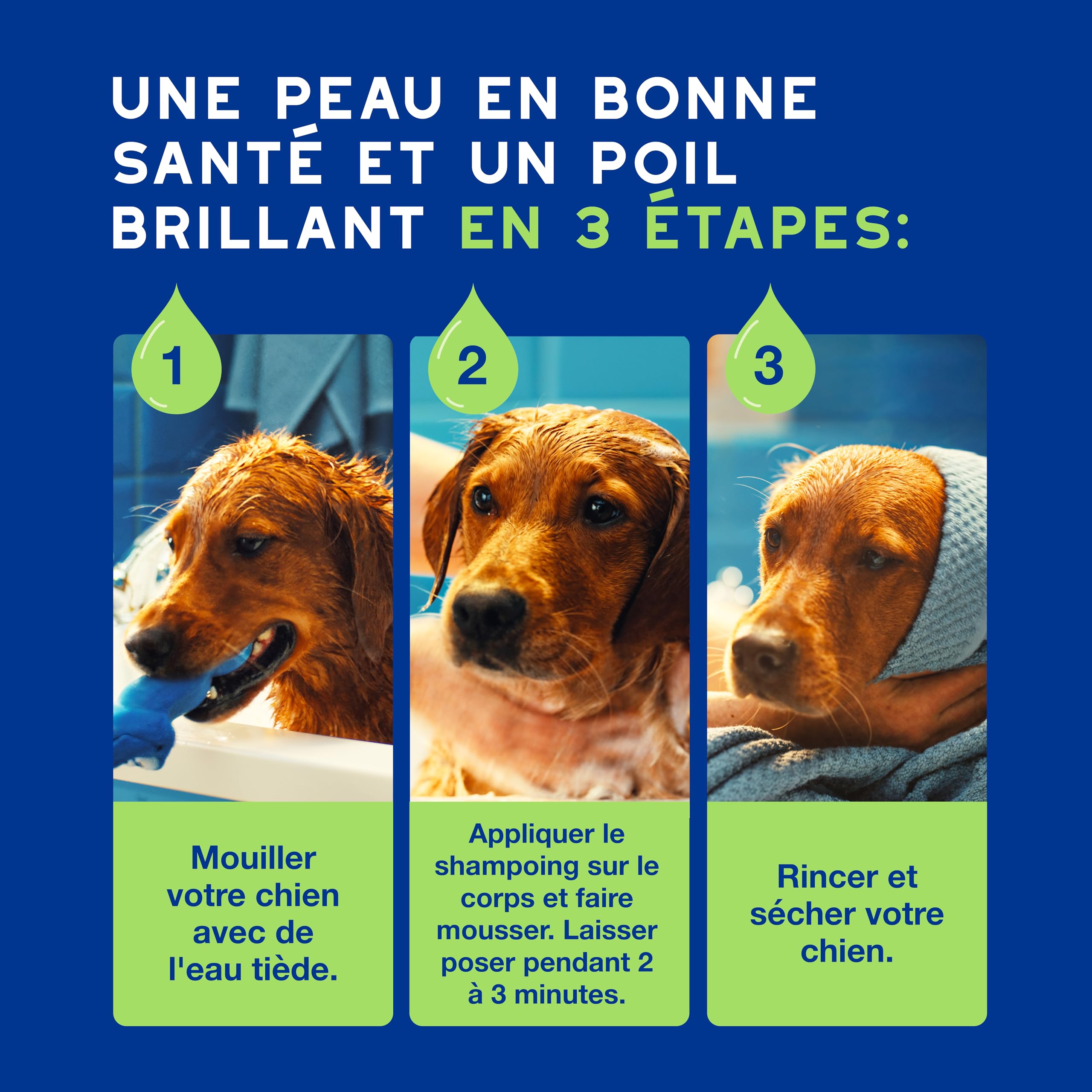DOUXO Skin & Coat Spa - Ultra-Safe Shampoing pour Chiot, 250mL, Nettoie et Hydrate la Peau Profondeur, Laisse Le Pelage Doux et éclatant, Formule respectueuse de la Peau.