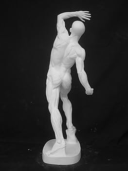 石膏像   小児立像 Amazon.co.jp: 石膏像 A－308 小児立像（キューピット） H