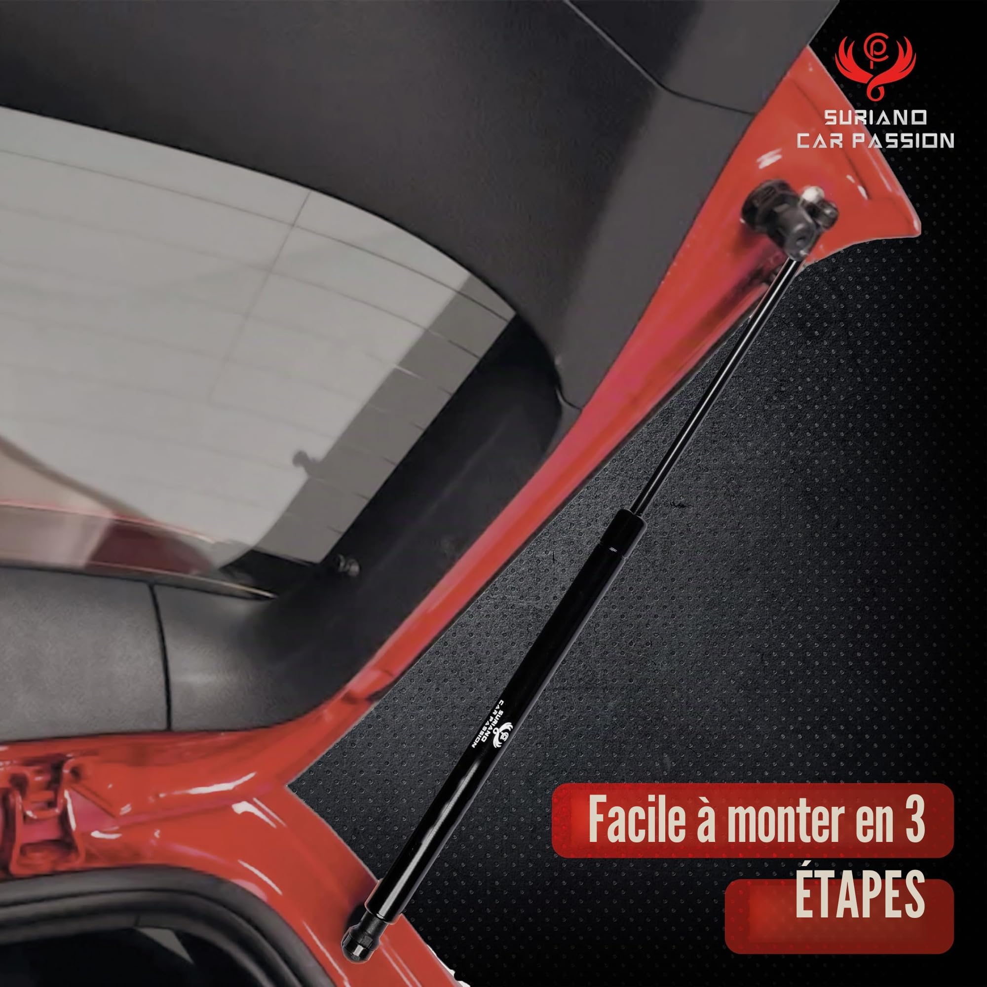 Vérins à gaz de hayon arrière compatibles avec DACIA SANDERO à partir de 2008 Hayon Coffre Asta cp91