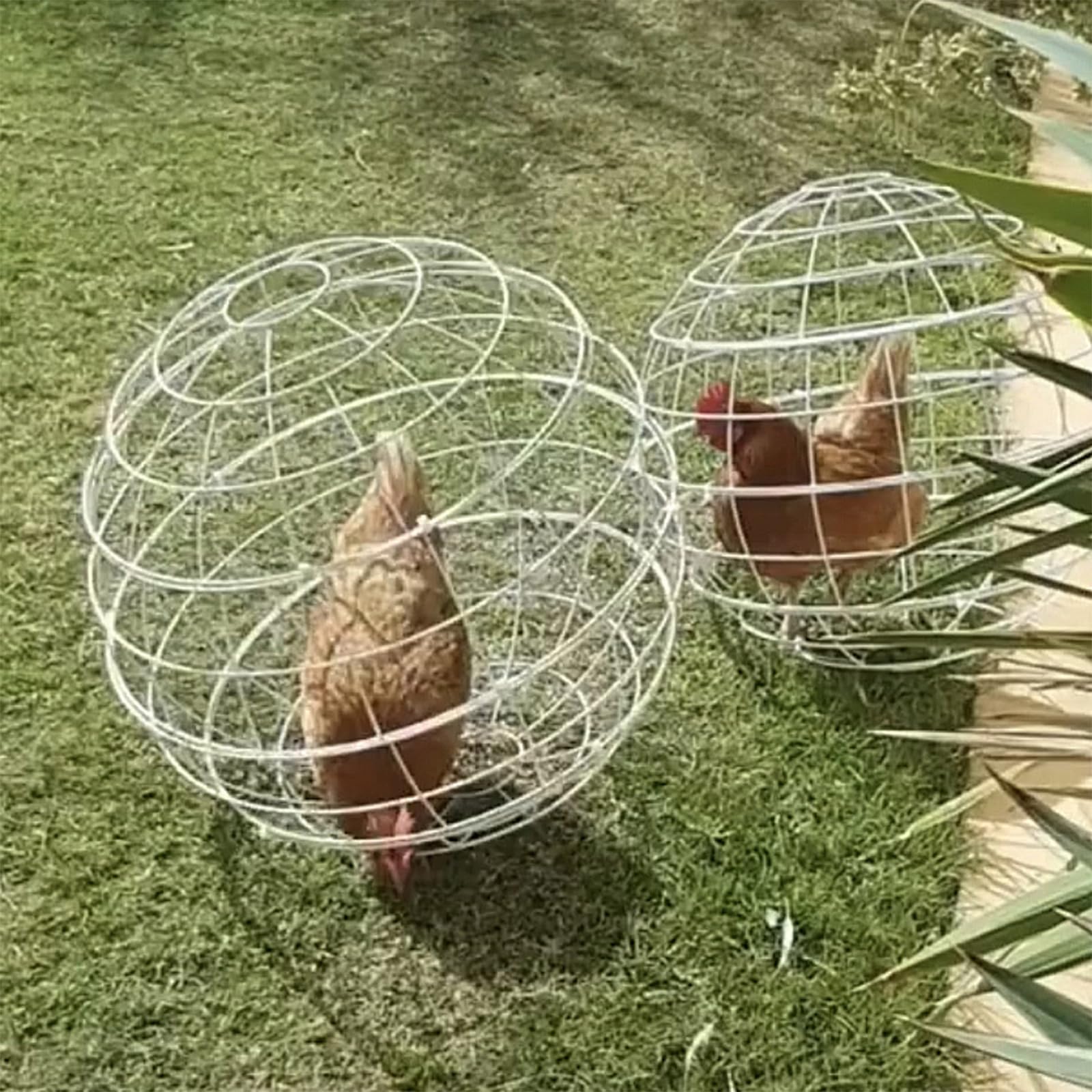 Cage à Boules De Poulet 3 Pièces - Poulailler Mobile Ronde Roulante Pour Extérieur, Idéal Poules Lapins Canards En PVC Robuste