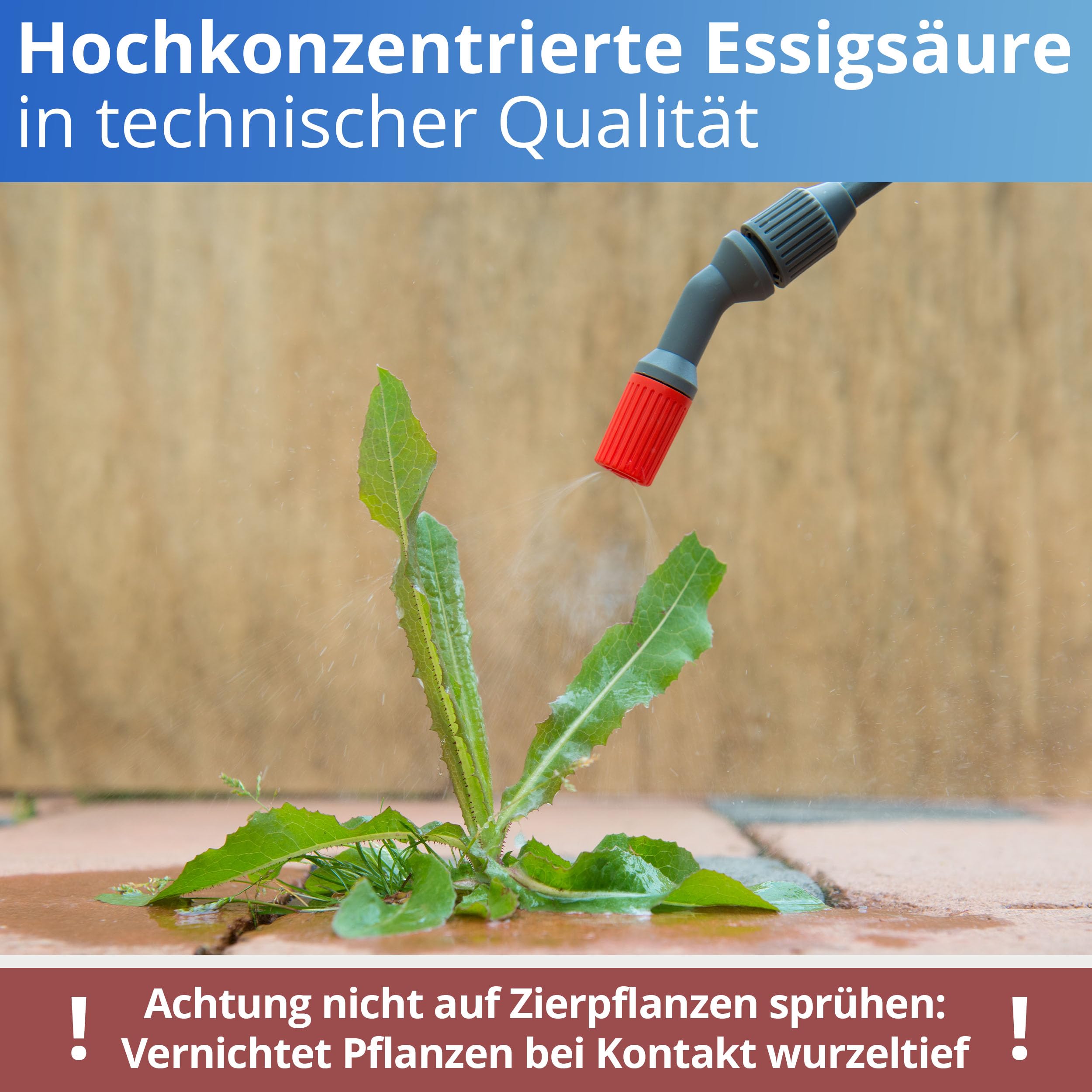 Nanoprotect Essigsäure 49,9% Klimaneutral - 20 kg | Ideal als Reiniger und Entkalker | Für Haus und Garten | Premium Qualität – Made in Germany