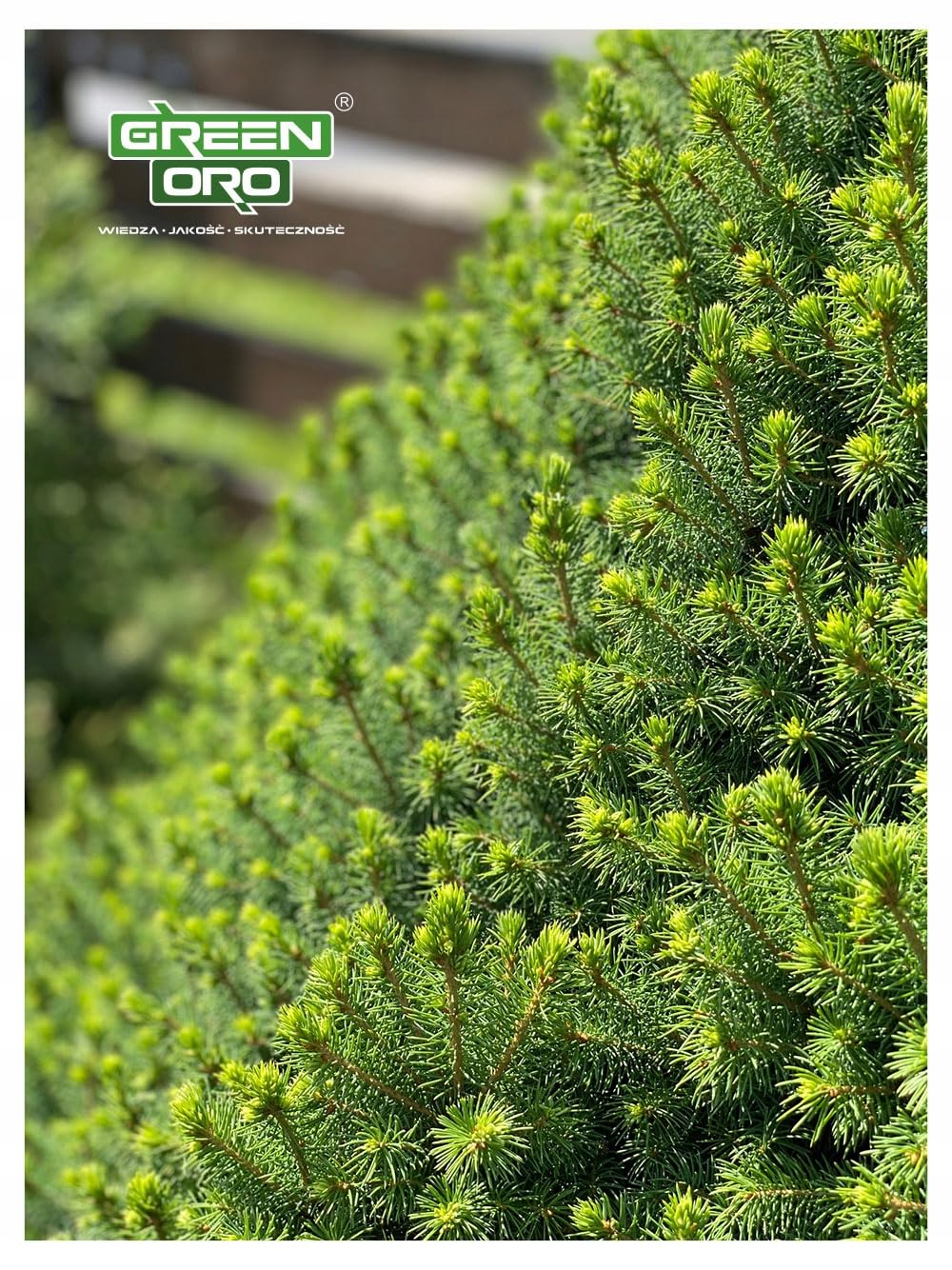 Engrais Universel Pour Plantes - Biologique 500 Ml Acheter