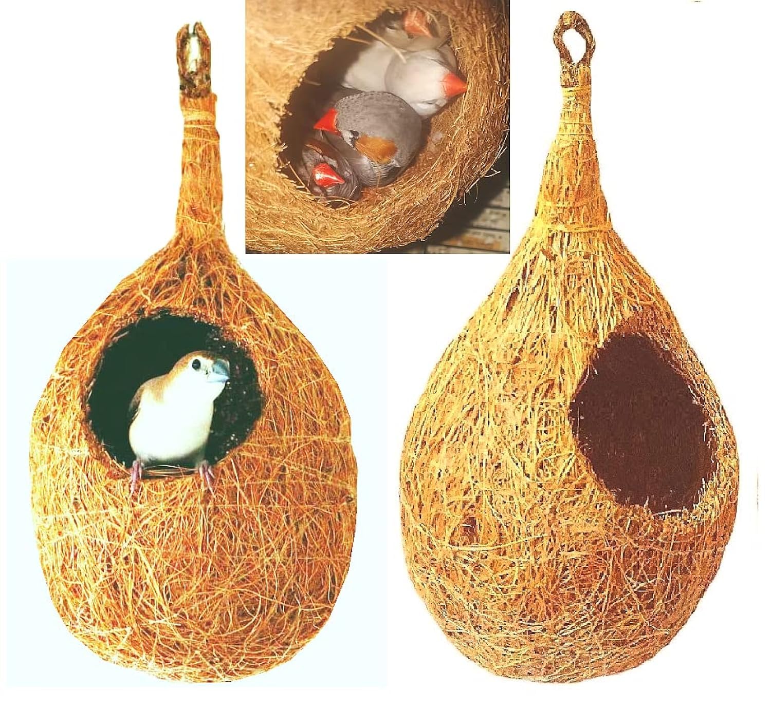 See full amazon price history chart for ZENRISE® 100% Natural Coir Bird nest for Balcony and Pet Birds Sparrows Finches breeding, Beige - Set of 2 ZENRISE® 100% Natural Coir Bird nest for Balcony and Pet Birds Sparrows Finches breeding, Beige - Set of 2 (B0CKKX7P8X) Amazon Price History, Amazon Price Tracker