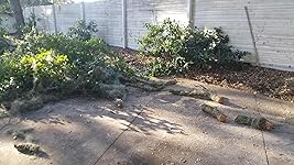 Review Image by How products work How products work