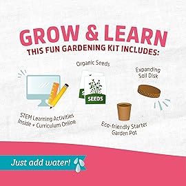 Back to The Roots Organic Wild Strawberry Grow Kit