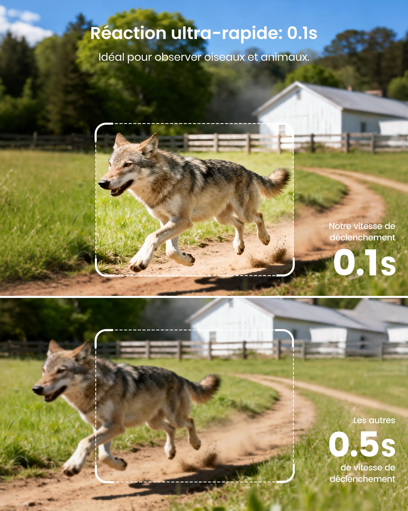 Misstech Caméra de Chasse Solaire 4K 64MP: Contrôle App, sans Abonnement | 0,1s Déclenchement, Vision Nocturne, IP66, Stockage Local, Idéal pour Jardin, Ferme et Observation des Animaux Sauvages