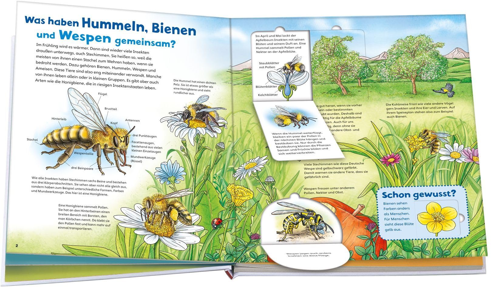 WAS IST WAS Junior Band 34 Bienen, Wespen, Hummeln