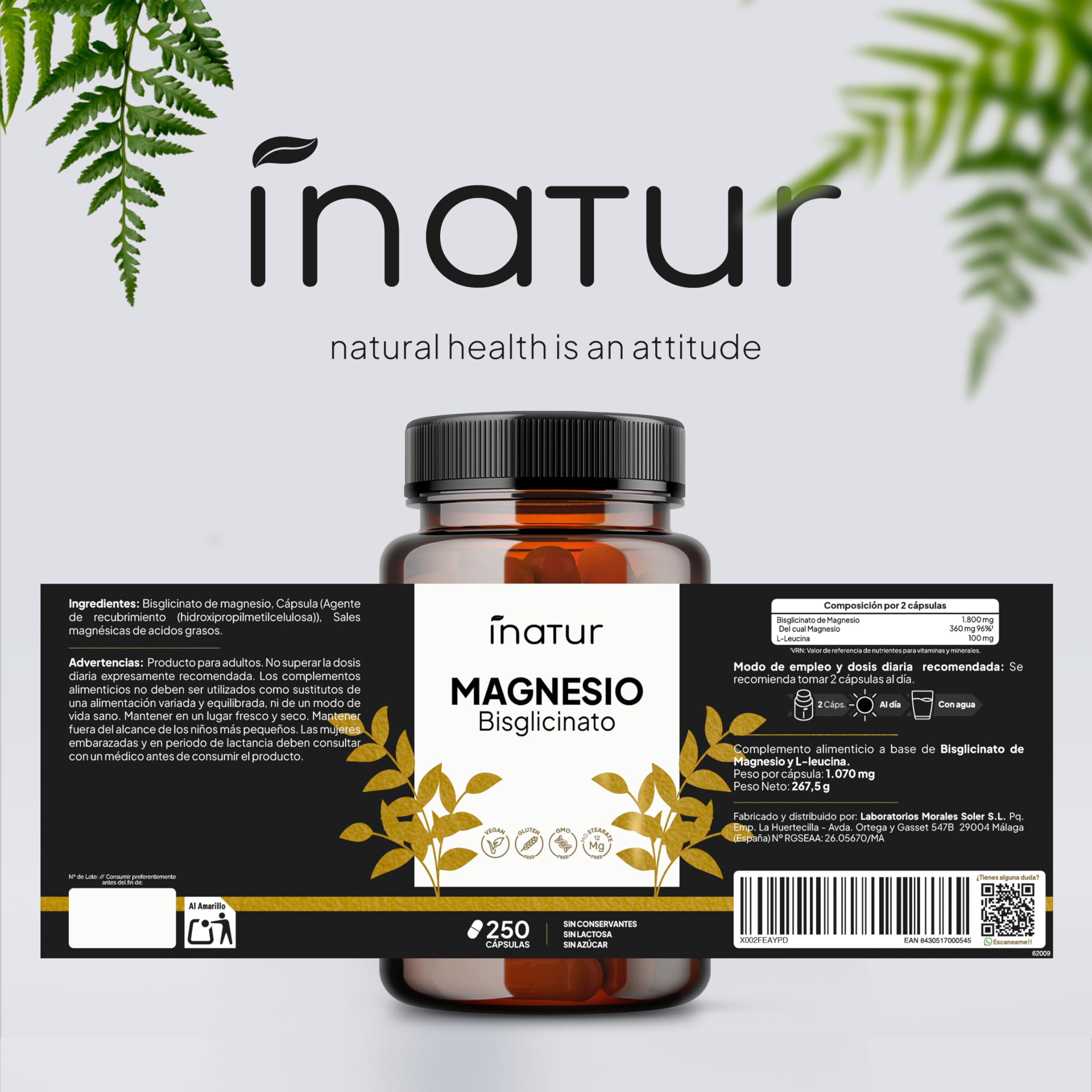 Bisglicinato de Magnesio – 360 mg de Magnesio Elemental por Dosis Diaria (250 Cápsulas) – Suministro para 4 Meses – Magnesio Quelado de Alta Absorción – Vegano, Sin Gluten y Suave para el Estómago