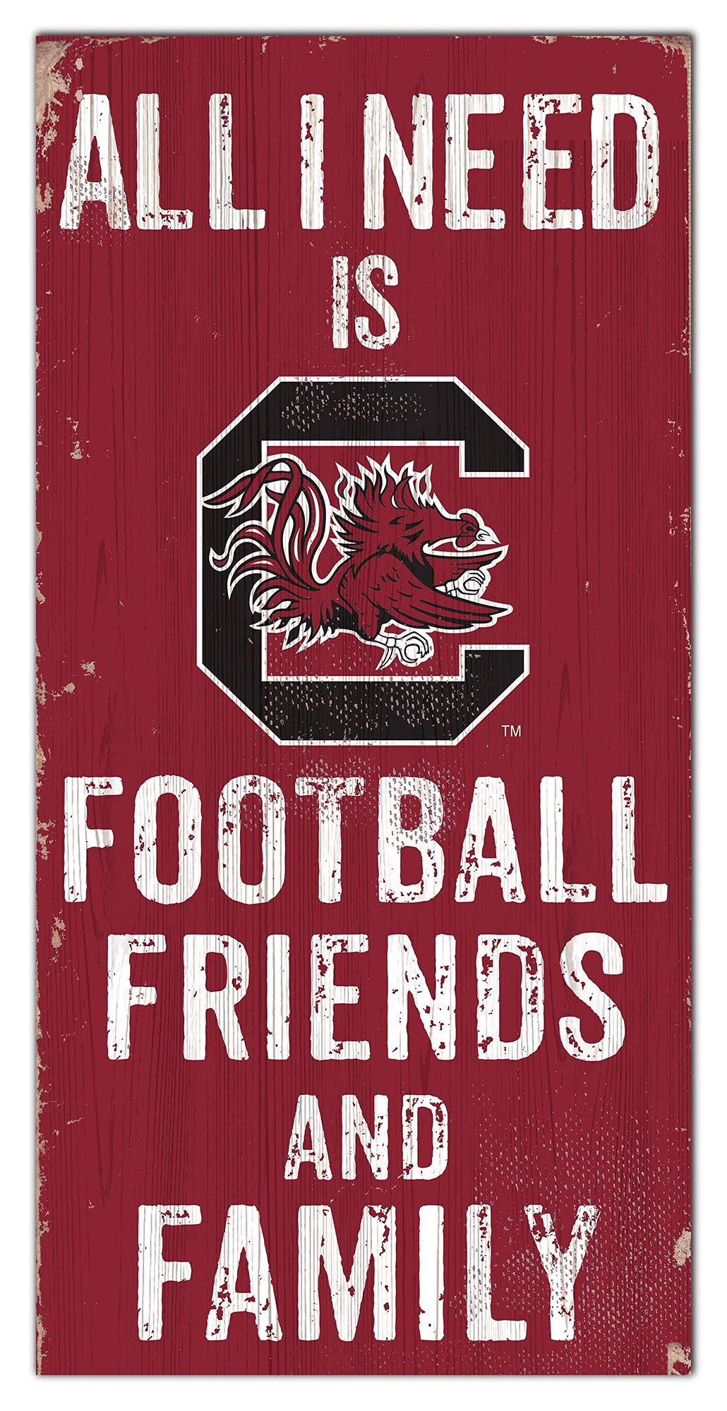 South Carolina Gamecocks 6