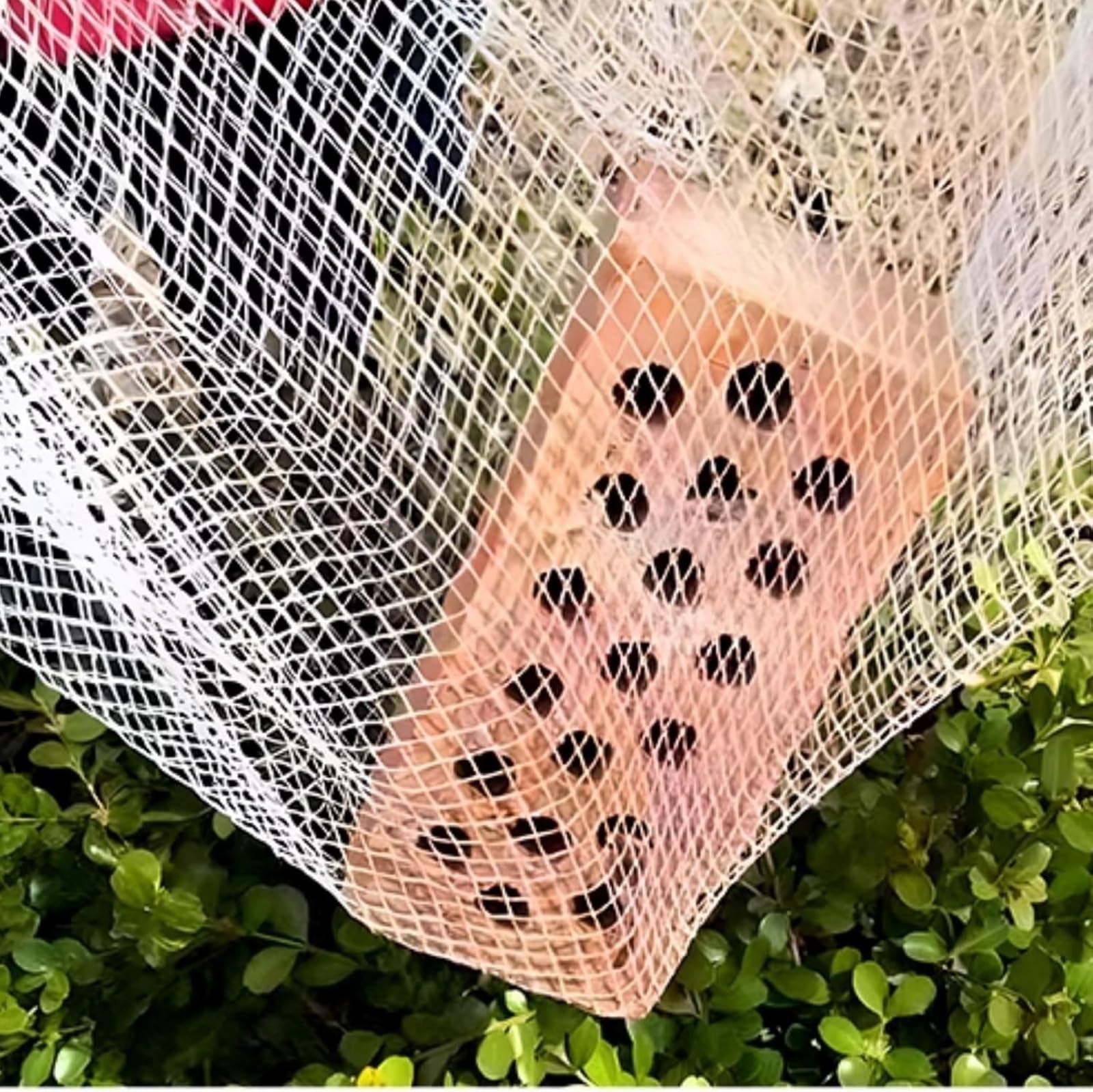 Red antigranizo para plantas, jardines y árboles, 5 mm de grosor, reutilizable y cortable, protección perfecta para frutas y verduras, ideal para invernaderos y huertos