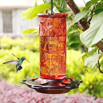 Glass Hummingbird Feeder