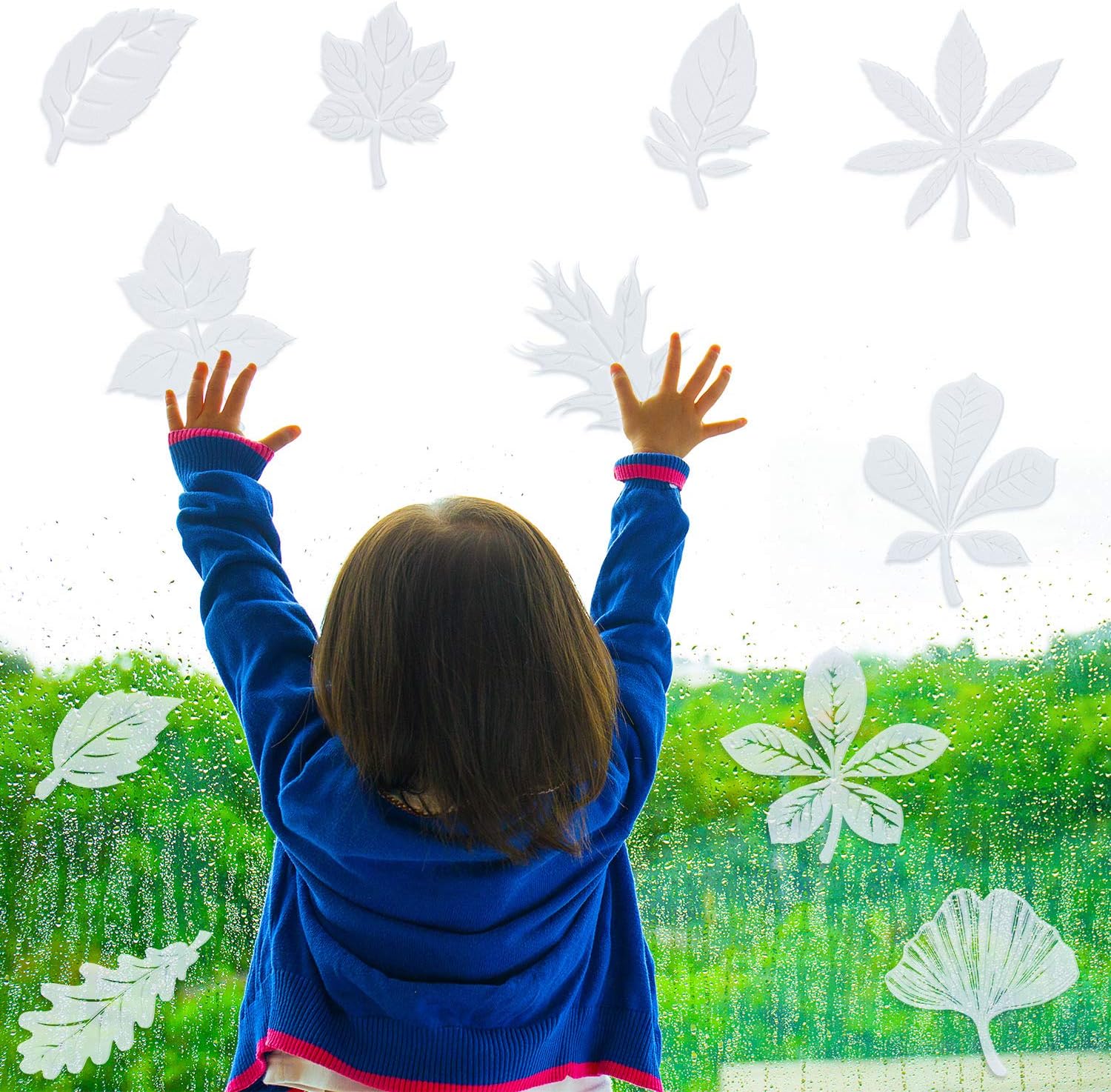 Anti-Collision Window Clings Assorted Leaf Shapes Stickers Transparent Alert Bird Window Decal Prevent People and Bird Strikes on Window Glass (40)