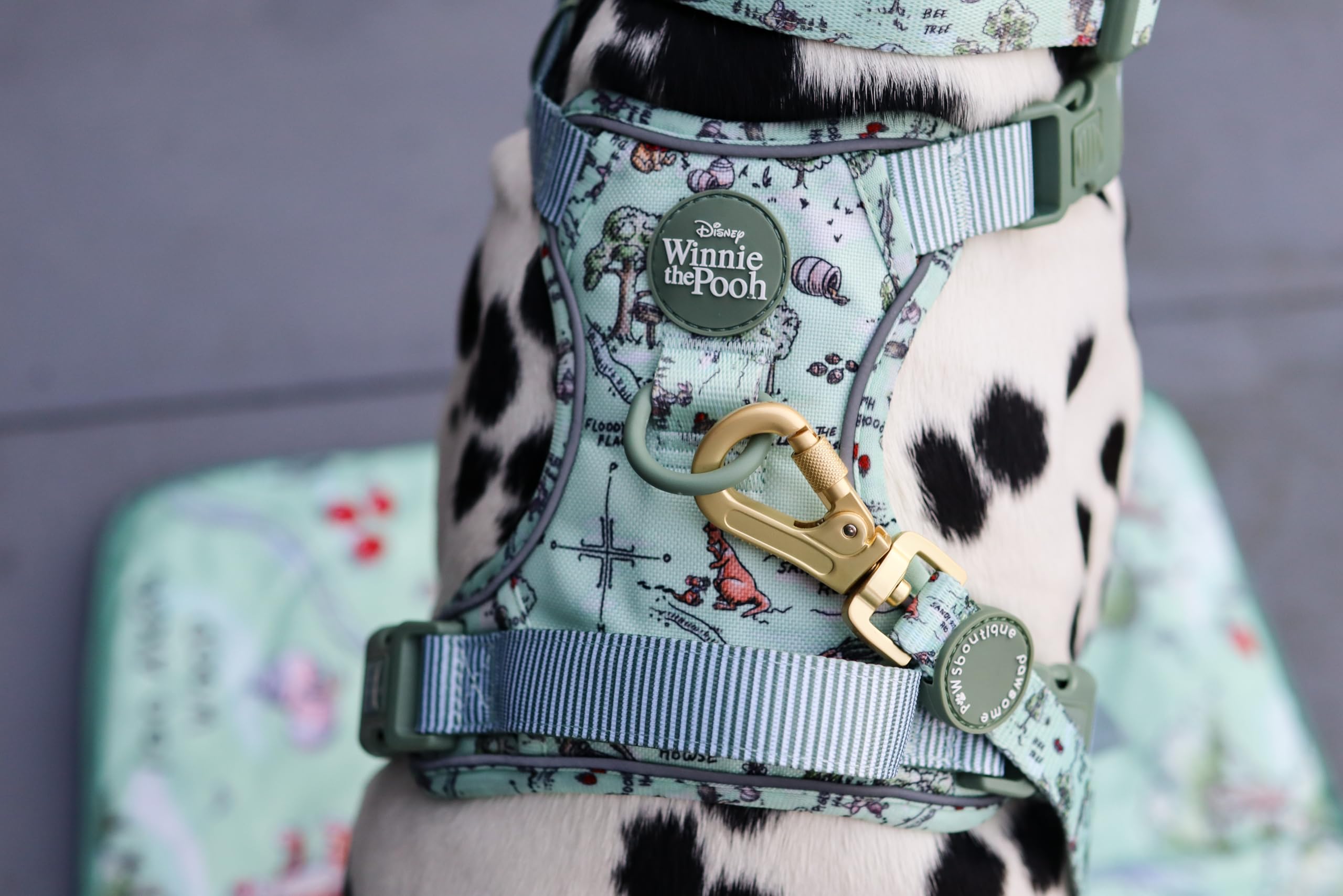 Pawsome Paws Boutique Aker Woods Hundegeschirr, robust, verstellbar, Disney-Design, kein Ziehen, mit reflektierendem Rand und Stabiler Schnalle, 100 Stück