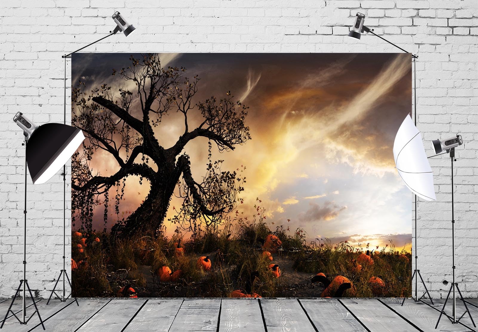 Amazon.com : BELECO 9x6ft Fabric Autumn Sunset Landscape Backdrop