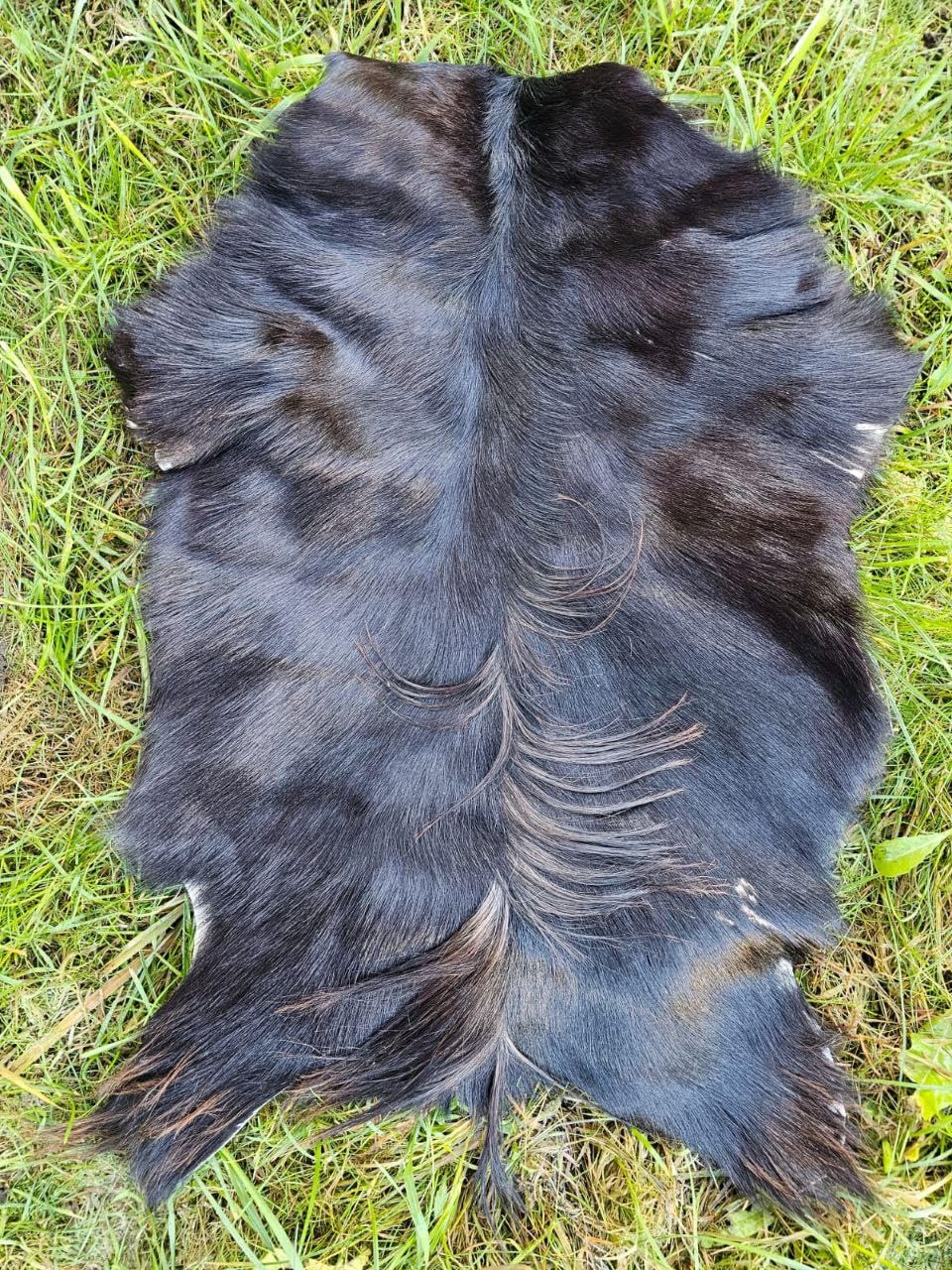 Ziegenfelle Ziegenfell Fell kein Geruch TOP Gerbung Natur SCHNÄPPCHEN (Dunkel Stückpreis, 70-90cm)
