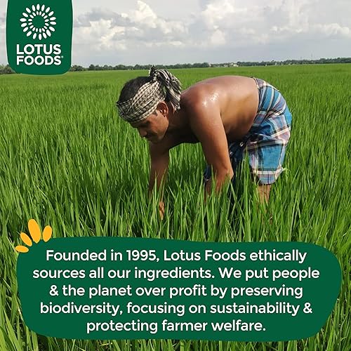 Miniatura 8 de Fideos de arroz para ramen con sopa de miso de Lotus Foods