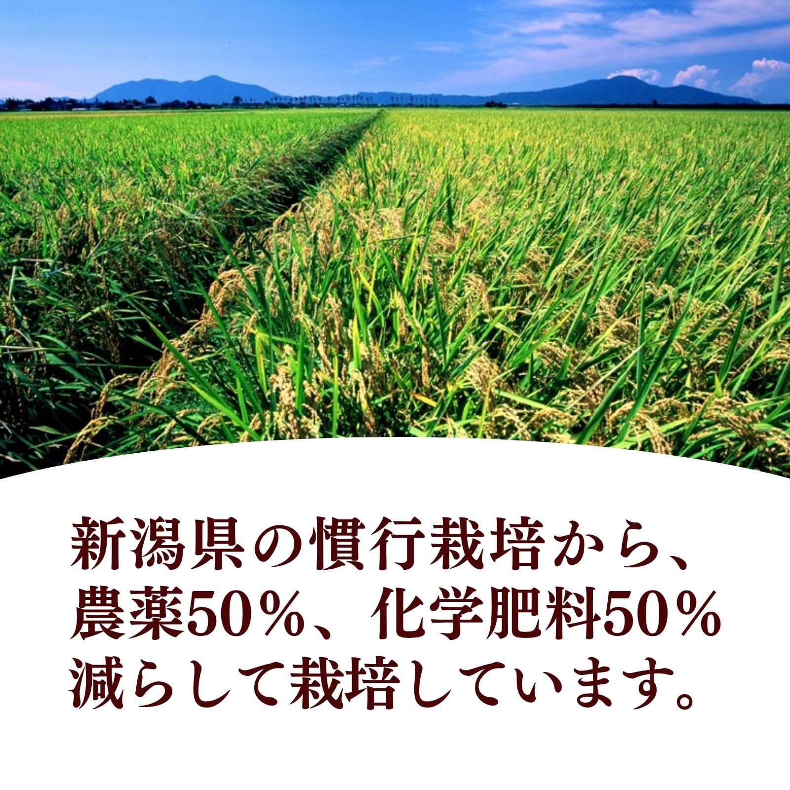 Amazon.co.jp: 新潟産コシヒカリ 玄米 令和7年産 産地直送 ギフト 