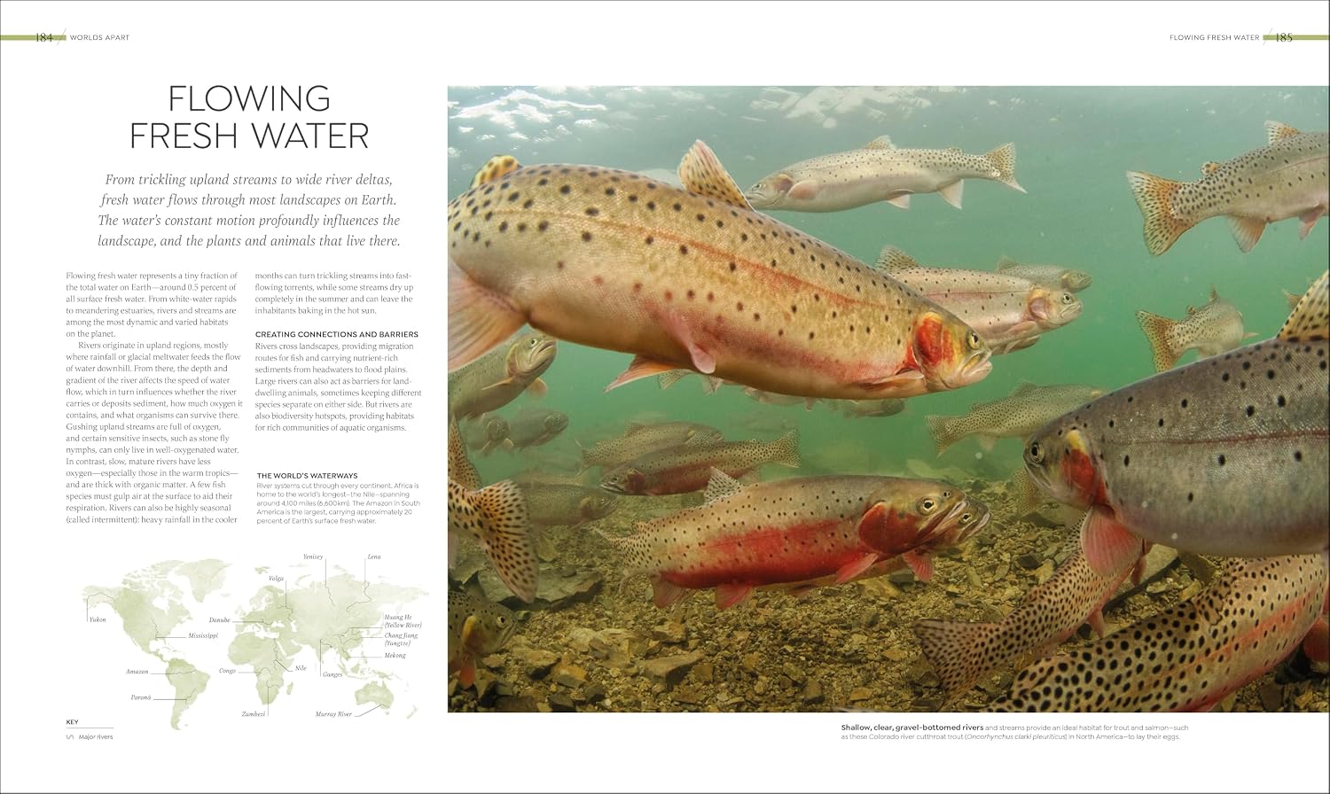 Habitats: Discover Earth's Precious Wild Places