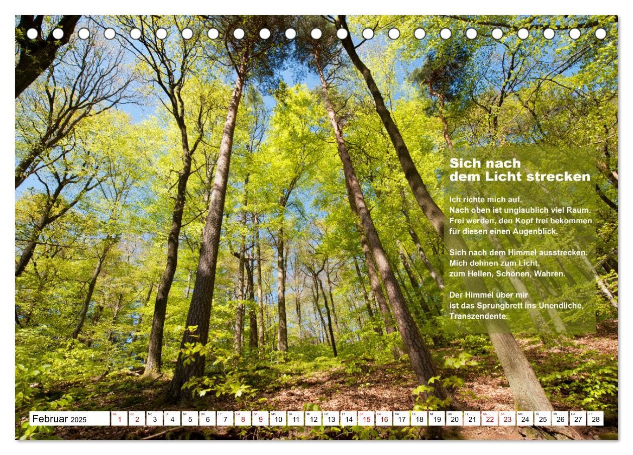 Stehen wie ein Baum (Tischkalender 2025 DIN A5 quer), CALVENDO Monatskalender: Bäume ermutigen zum aufrechten Stehen, zum Durchstehen von Situationen. (CALVENDO Glaube)